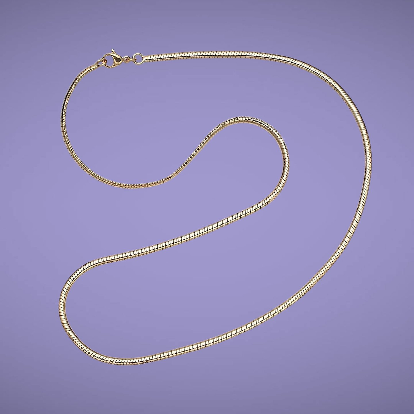 snake chain.jpeg