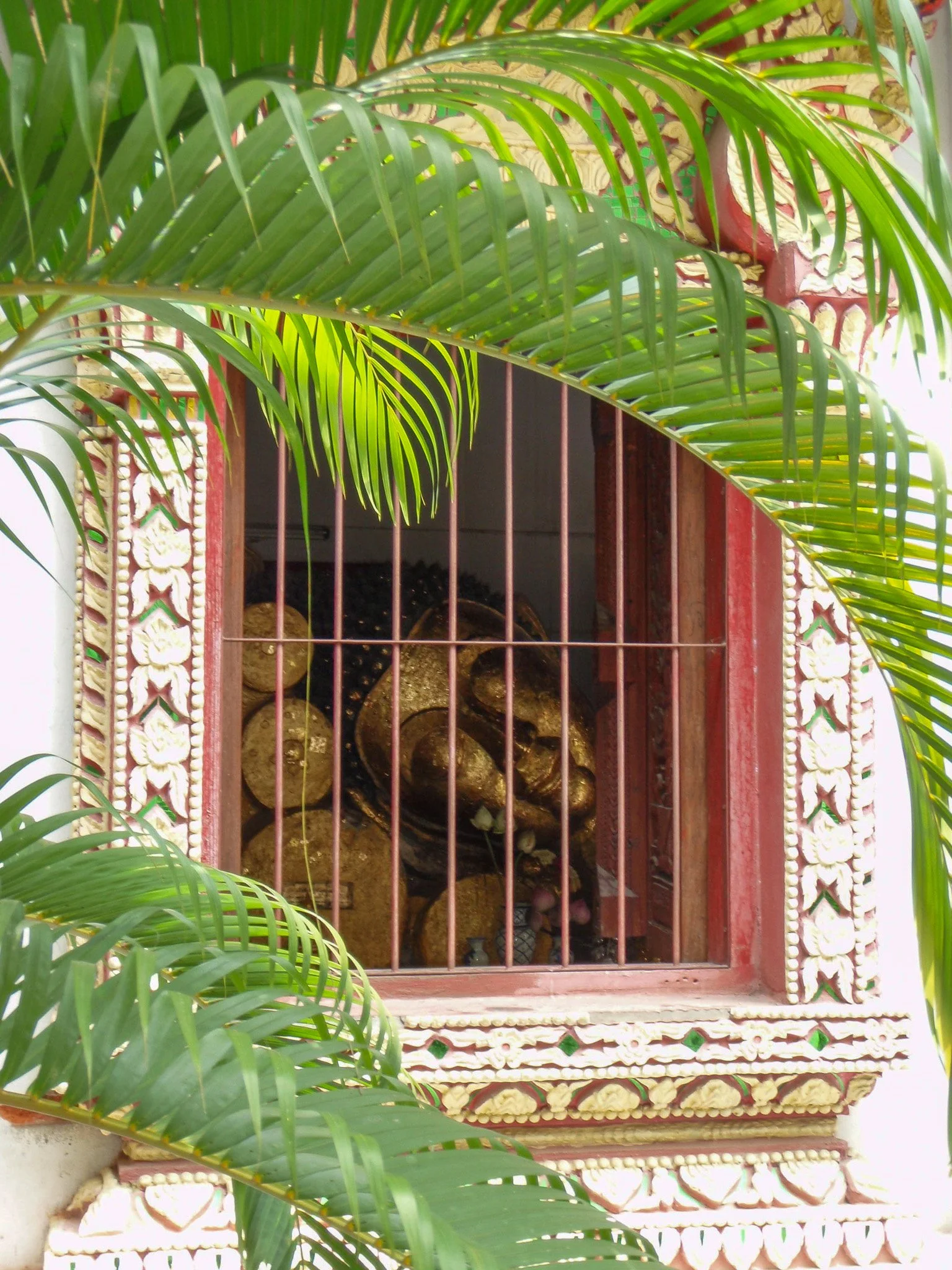 Resting Peek-a--Buddah