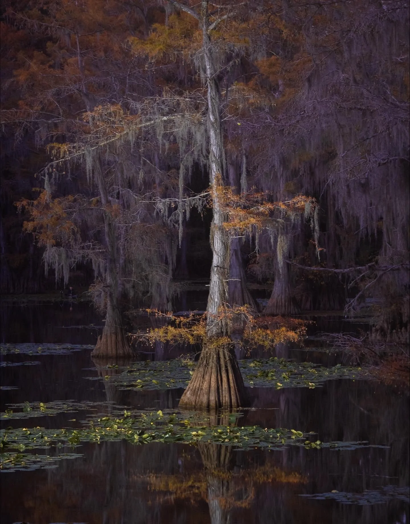 I took a drive today from home out to Caddo Lake State Park in far East Texas. It was 300 miles so took a good part of the day, but I got here in plenty of time to grab my campsite, then my camera and caught a few blue hour images. 

Since I&rsquo;ll