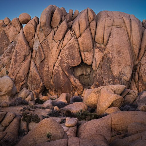 The Silent Sentinels of Joshua Tree