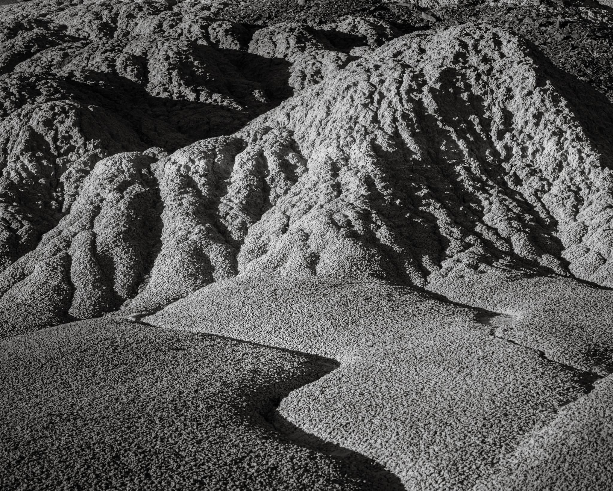 The lungs of the desert, or something along those lines is what I&rsquo;ve heard about this crypto biotic soil. When I visited the Lybrook fossil area in northern New Mexico recently, I ran into a lot of it! We also know not to walk on it, right? 

#