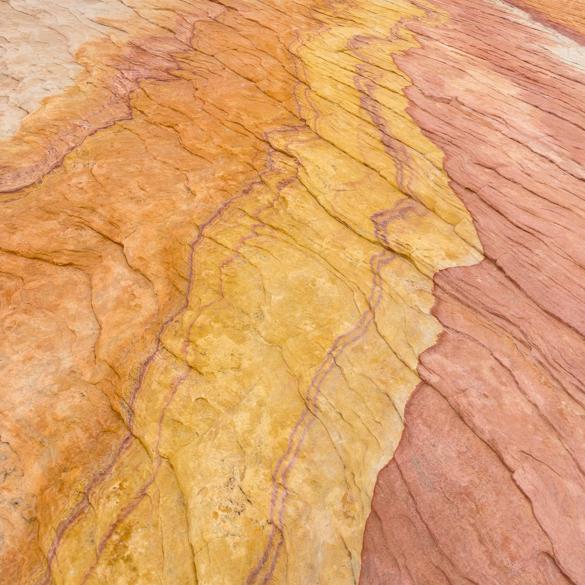 Painted in Stone: Abstract Sandstone Bands at Valley of Fire