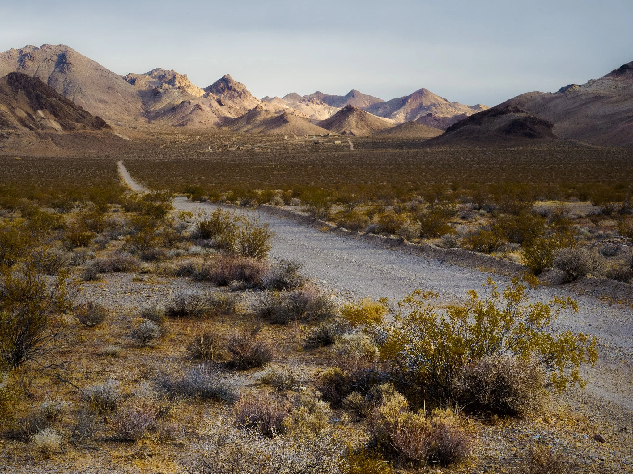 Dirt road winding through desert scrub toward rugged mountains near the Rhyolite ghost town in Nevada under soft morning light.