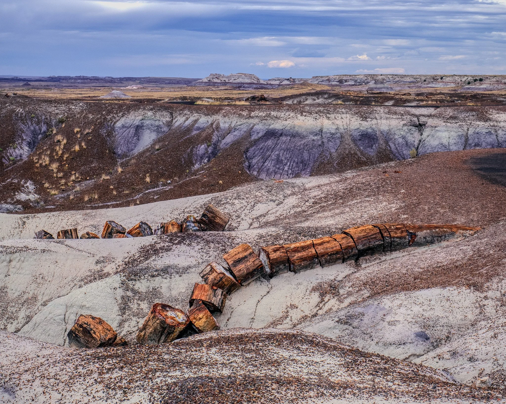 A segmented log of colorful petrified wood snakes down a desert hill at Crystal Forest Trail in Arizona under a cloudy sky.