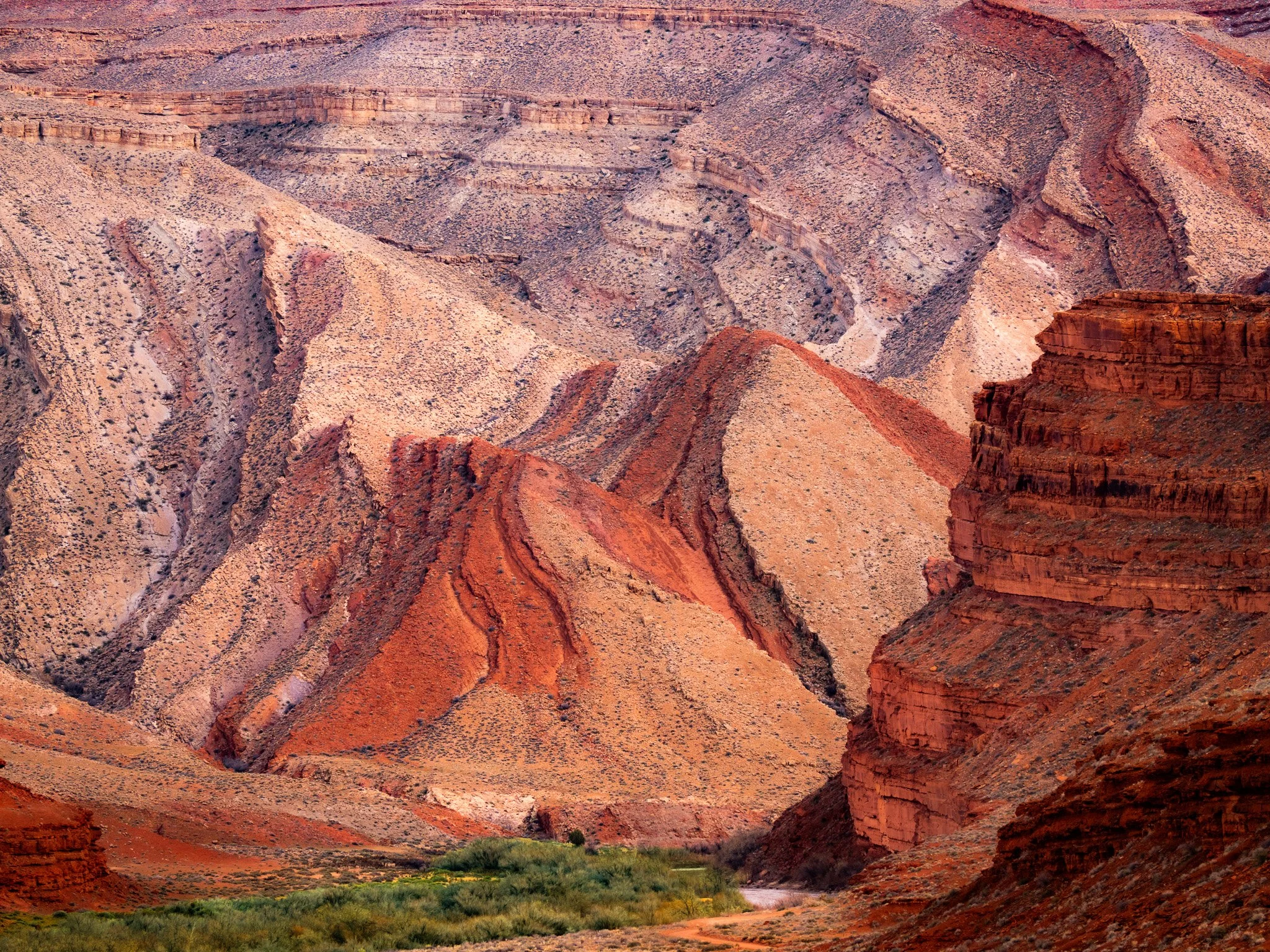 The Unexpected Beauty of a Southern Utah Hidden Canyon