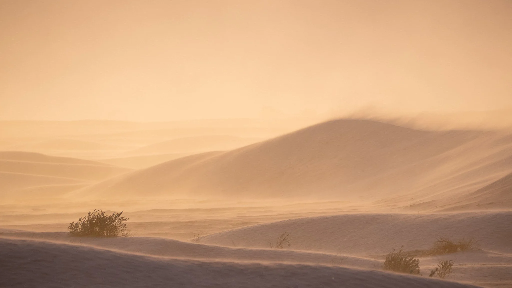 SANDSTORM AT MESQUITE FLAT DUNES