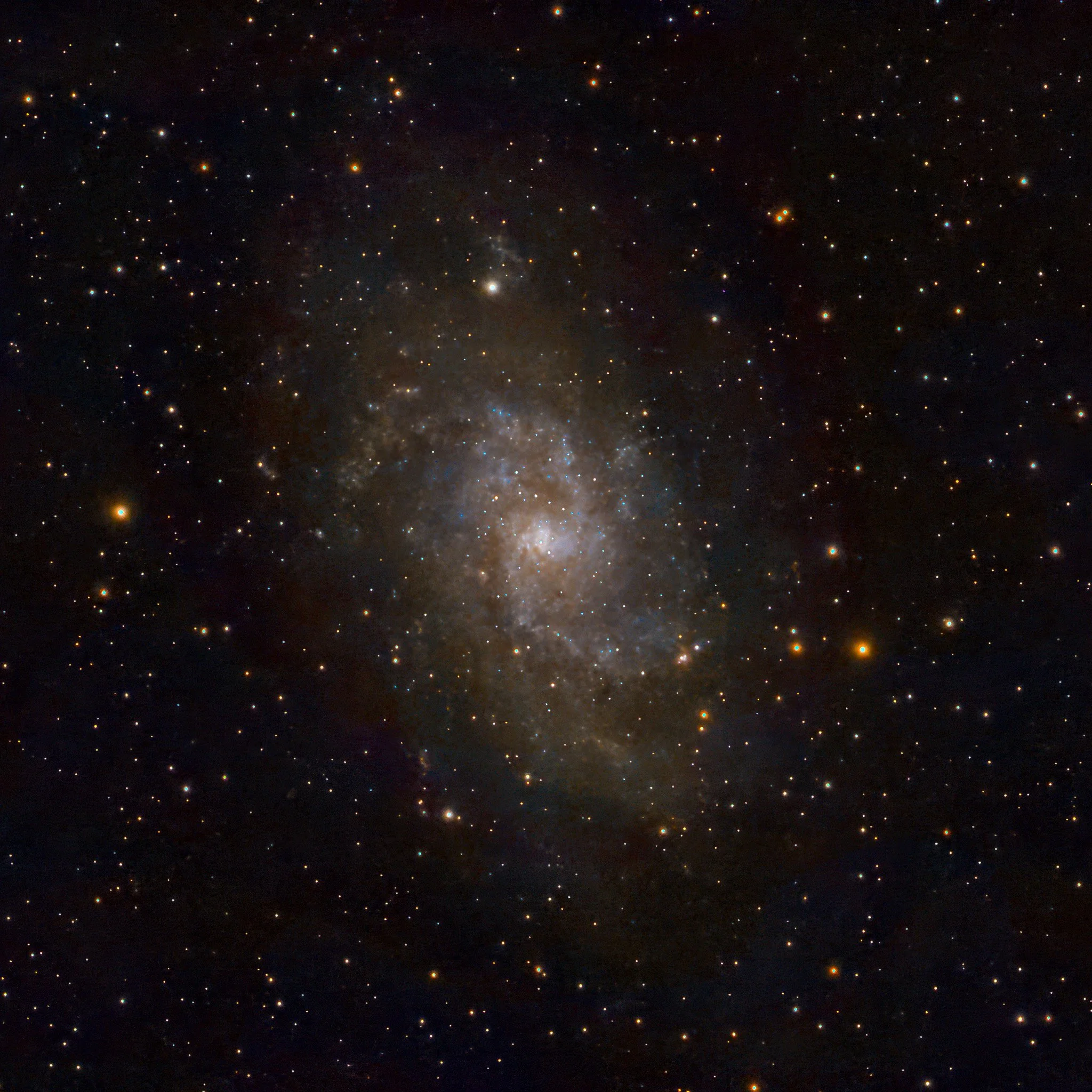Triangulum Galaxy (M33) astrophotography showing a glowing spiral core and vibrant blue star-forming regions in deep space.