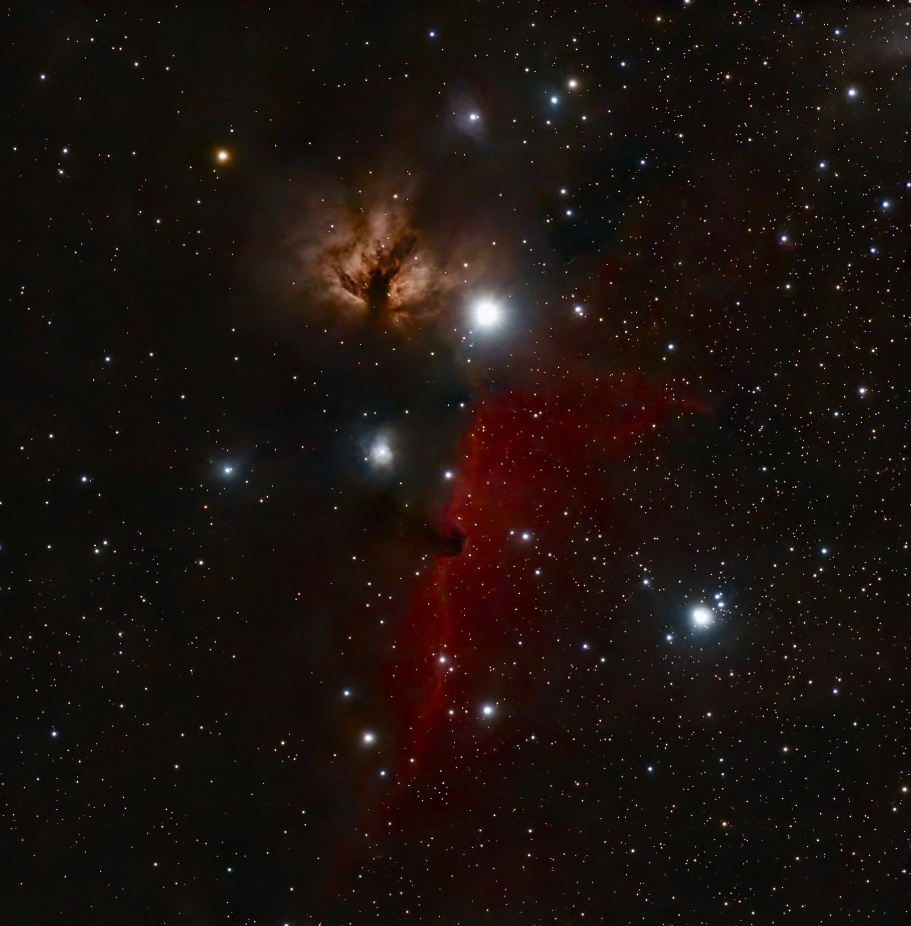 The Alchemist’s Ember:This piece explores the profound duality of the cosmos—the fierce, golden ignition of the Flame Nebula set against the cold, quiet silhouette of the Horsehead. Captured in the heart of Orion.