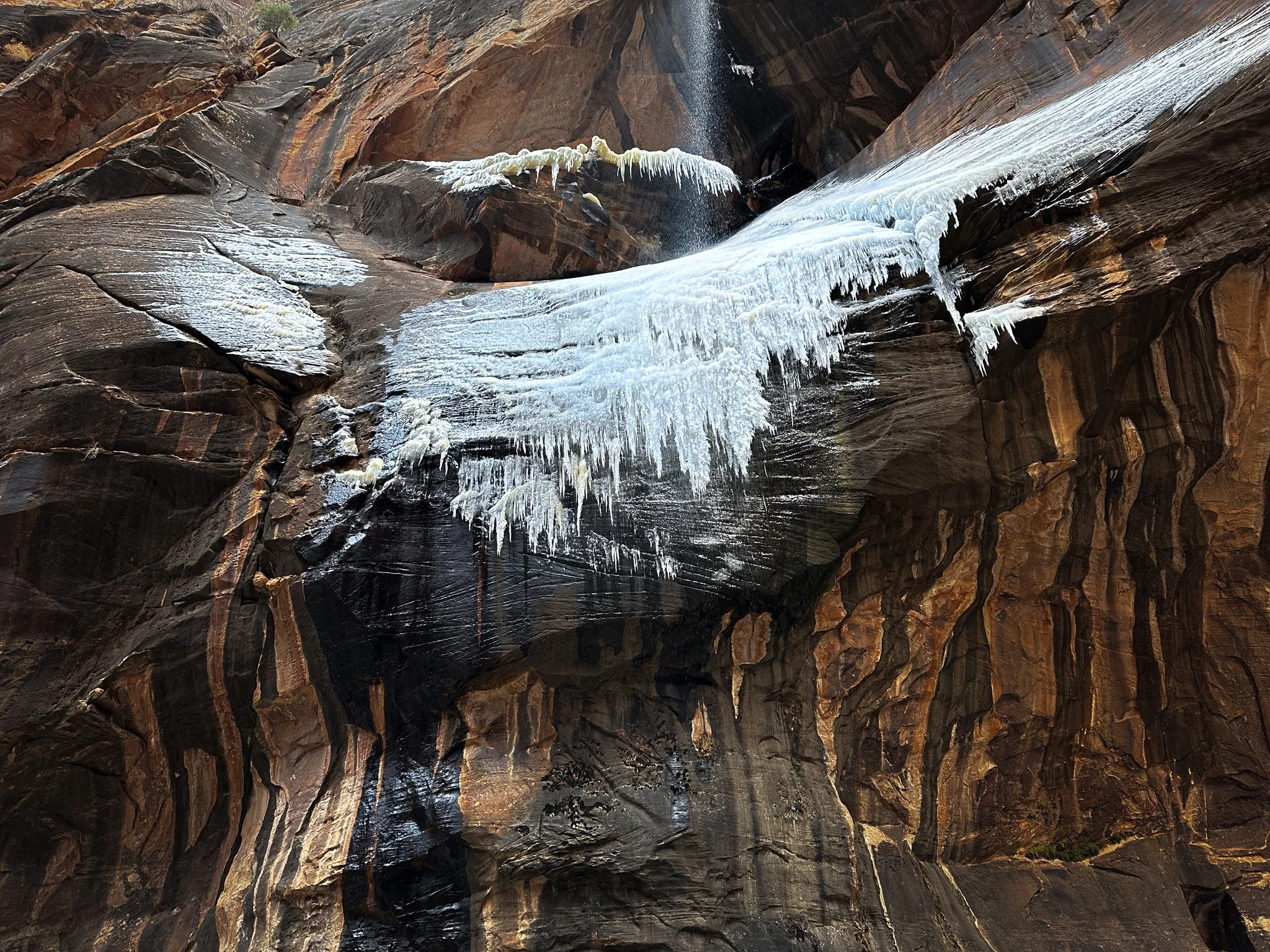 Frozen Falls: Winter Magic in Zion National Park’s Narrows