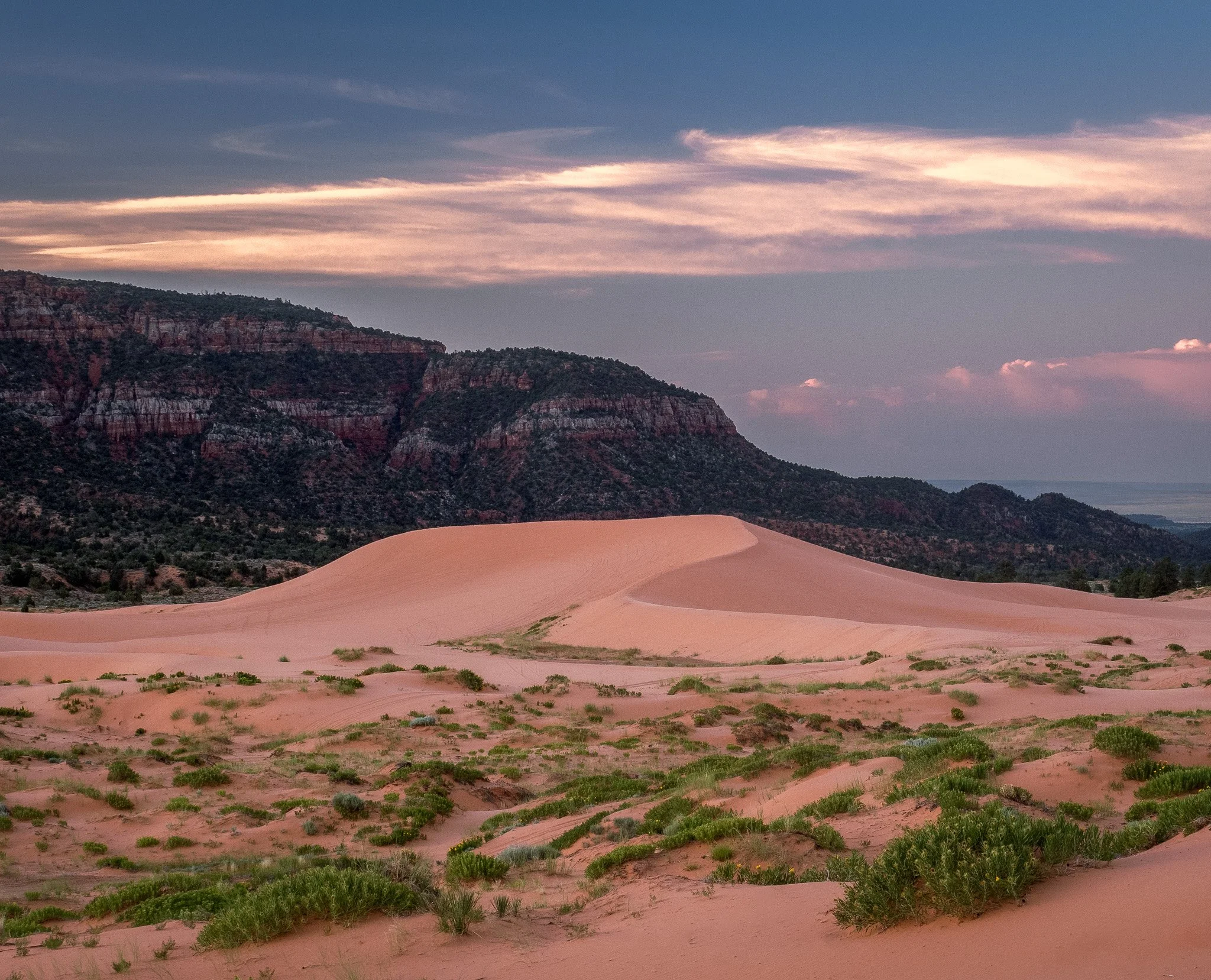 Coral Pink Sand Dunes in Morning Blue Hour