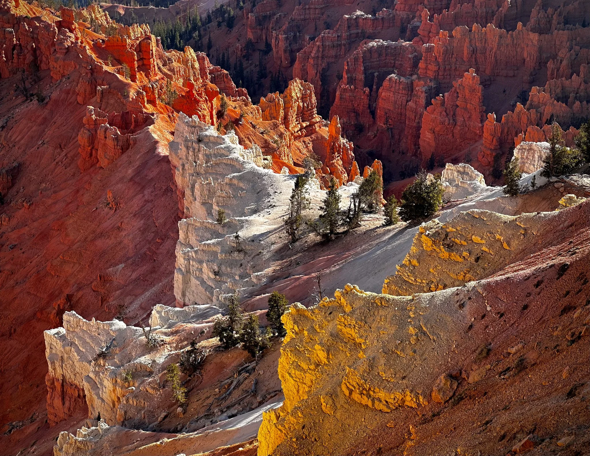 Golden Hour Light on Cedar Breaks Hoodoos