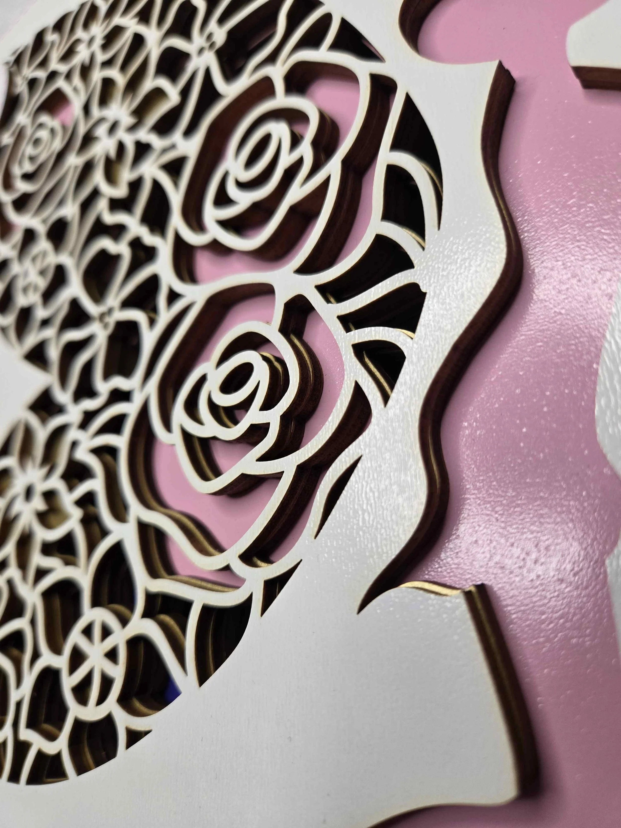 Fairy Plaque close up of depth of layers.jpg