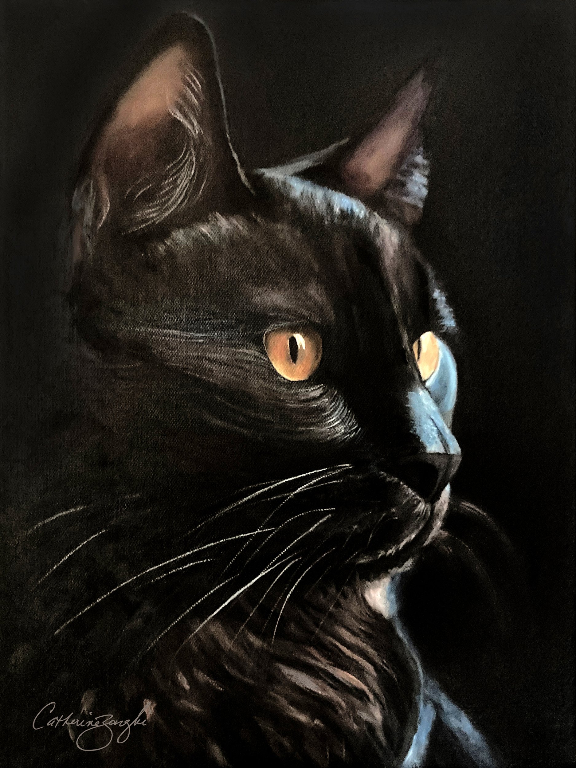 Black Cat on Black | Original Painting