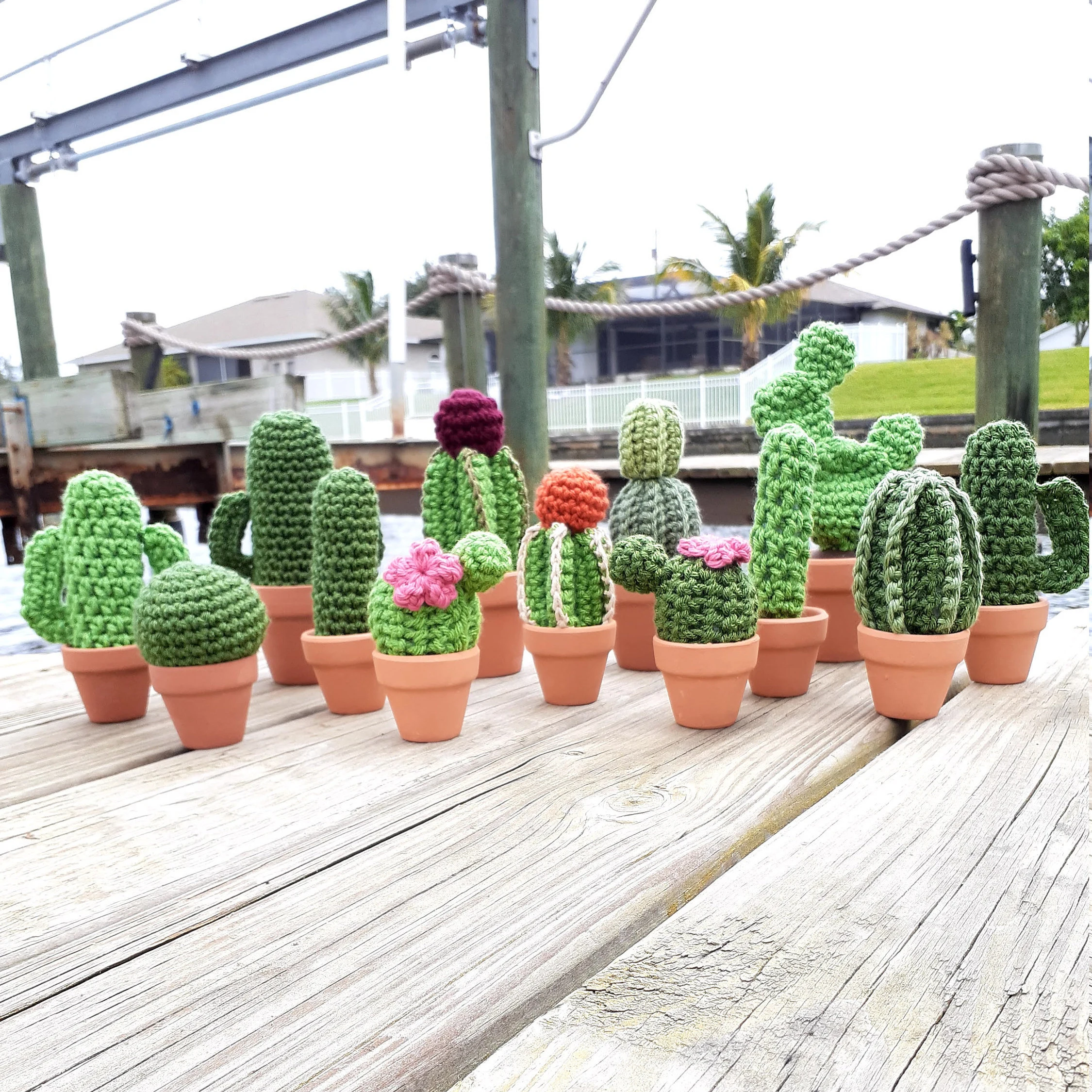 SMALL CACTUS 8.png