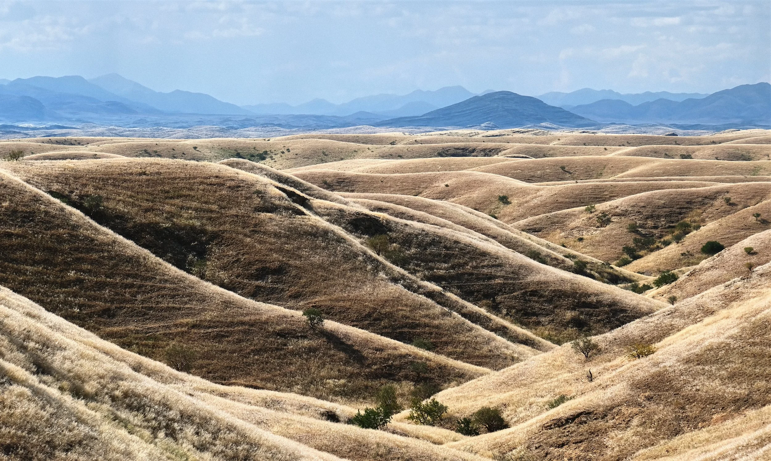 Namibian Grassy Hills.jpg