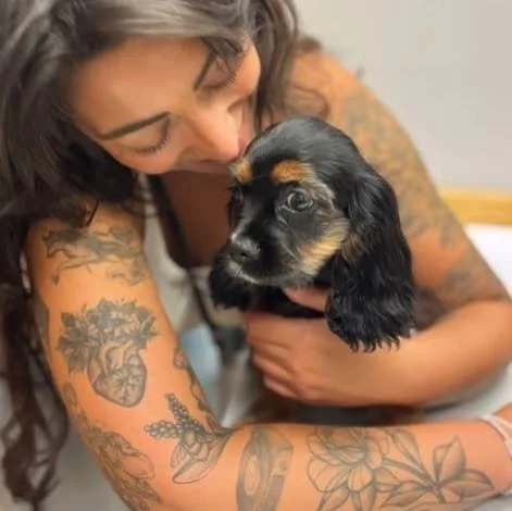 Newest member of the family: meet Harper 💕born on Cinco de Mayo so she likes spicy margs just like Mama 🍋&zwj;🟩

#puppy #cockalier #sweetangel