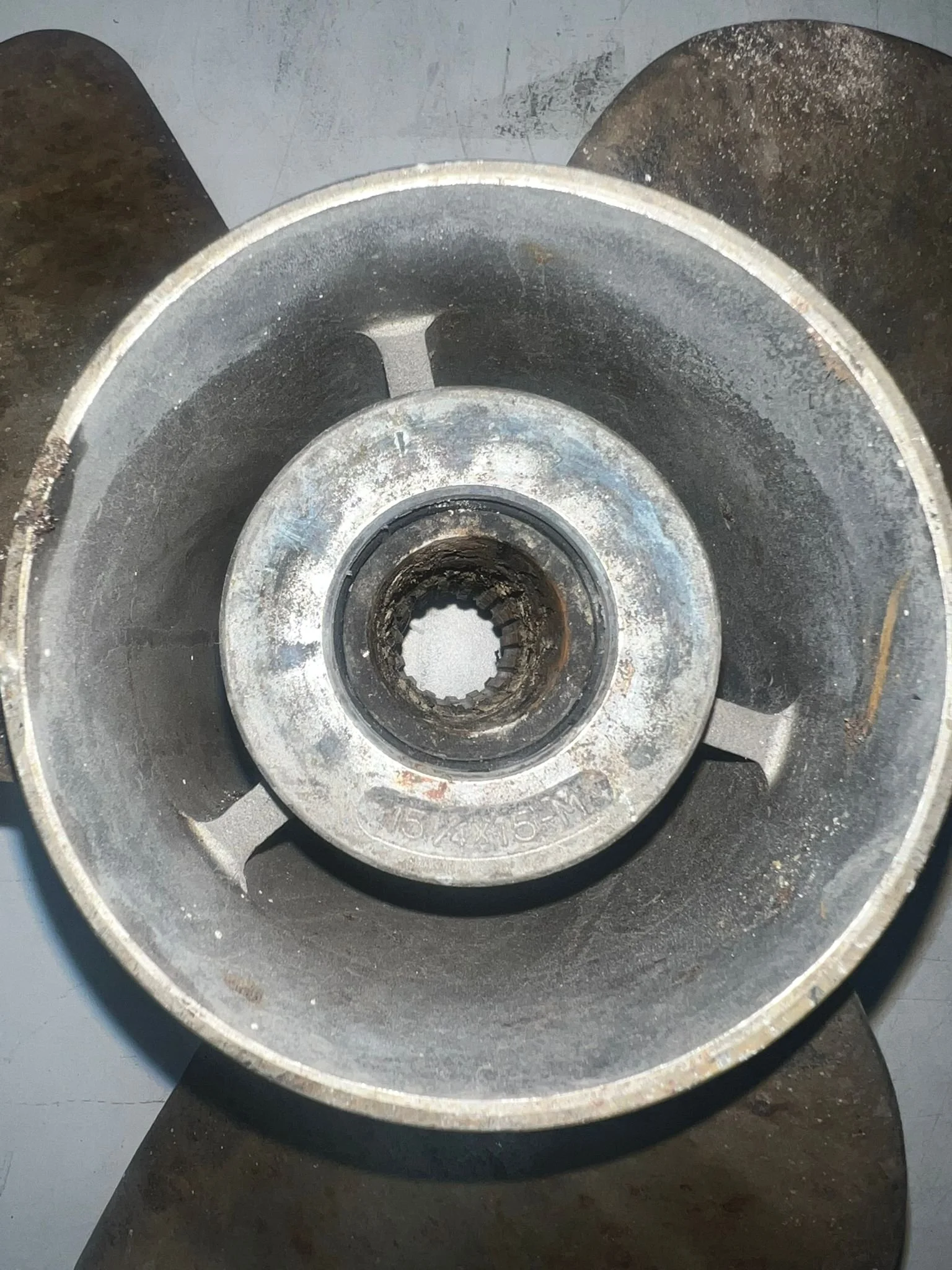 WhatsApp Image 2026-01-26 at 10.28.37 AM (2).jpeg