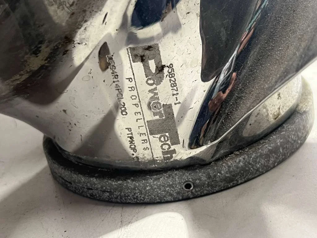 WhatsApp Image 2026-04-28 at 11.59.58 AM.jpeg