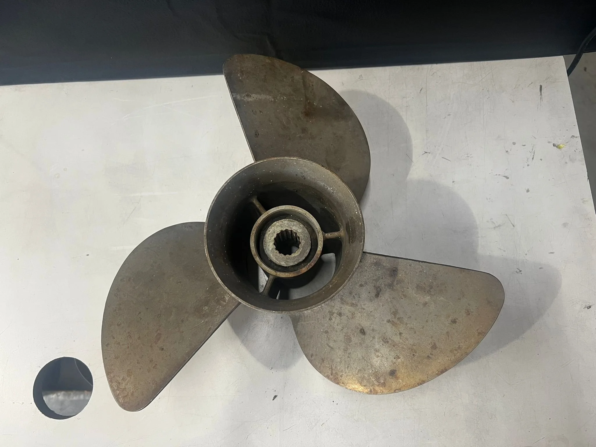 WhatsApp Image 2026-01-26 at 10.28.37 AM.jpeg