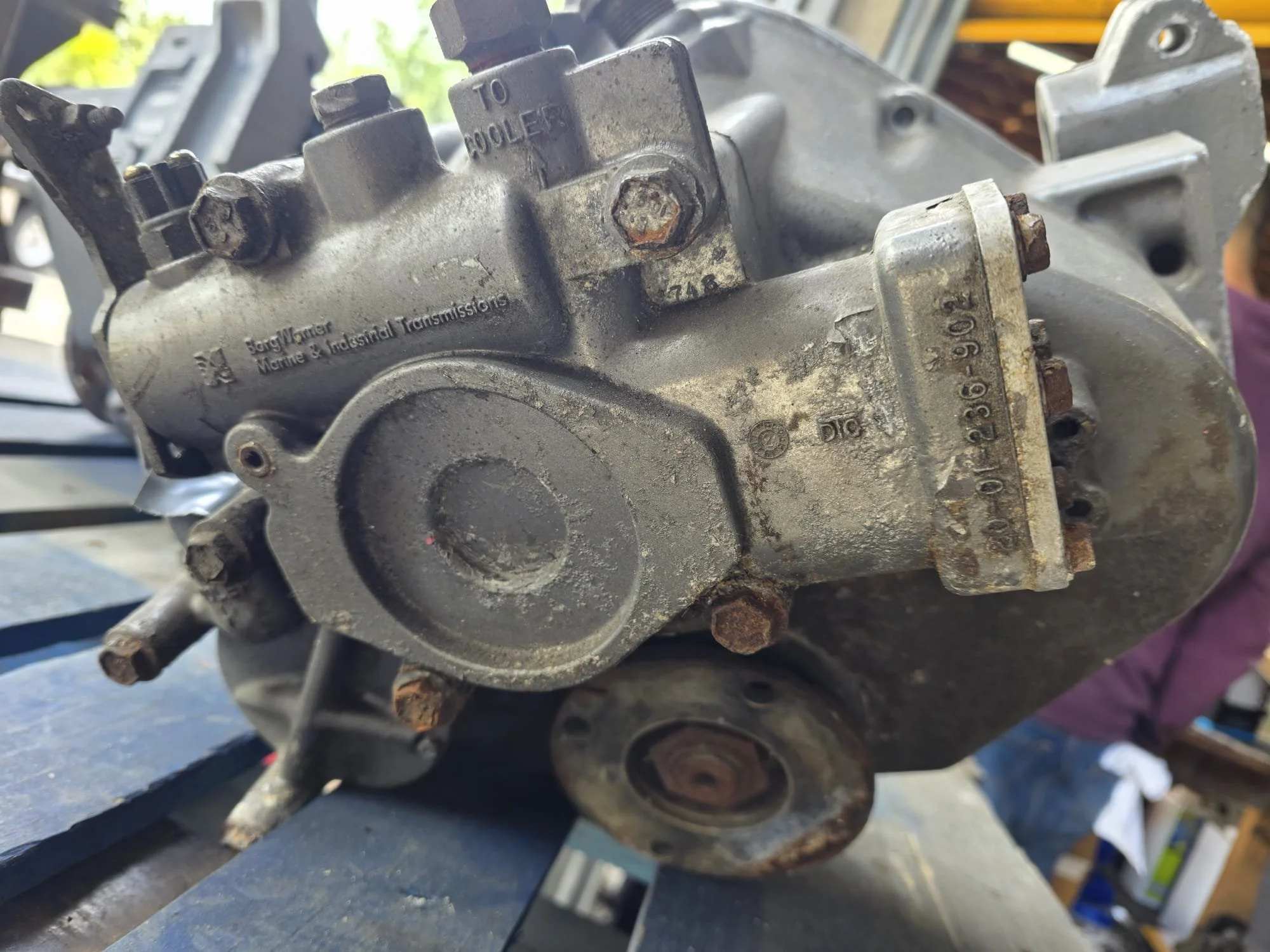 WhatsApp Image 2026-04-07 at 1.26.29 PM (1).jpeg