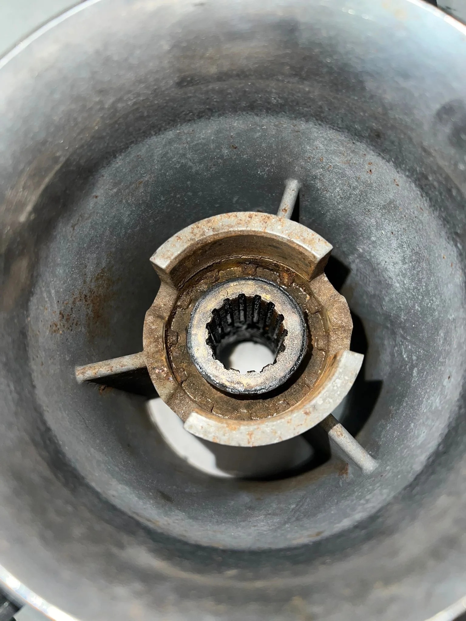 WhatsApp Image 2025-12-22 at 1.40.17 PM (3).jpeg