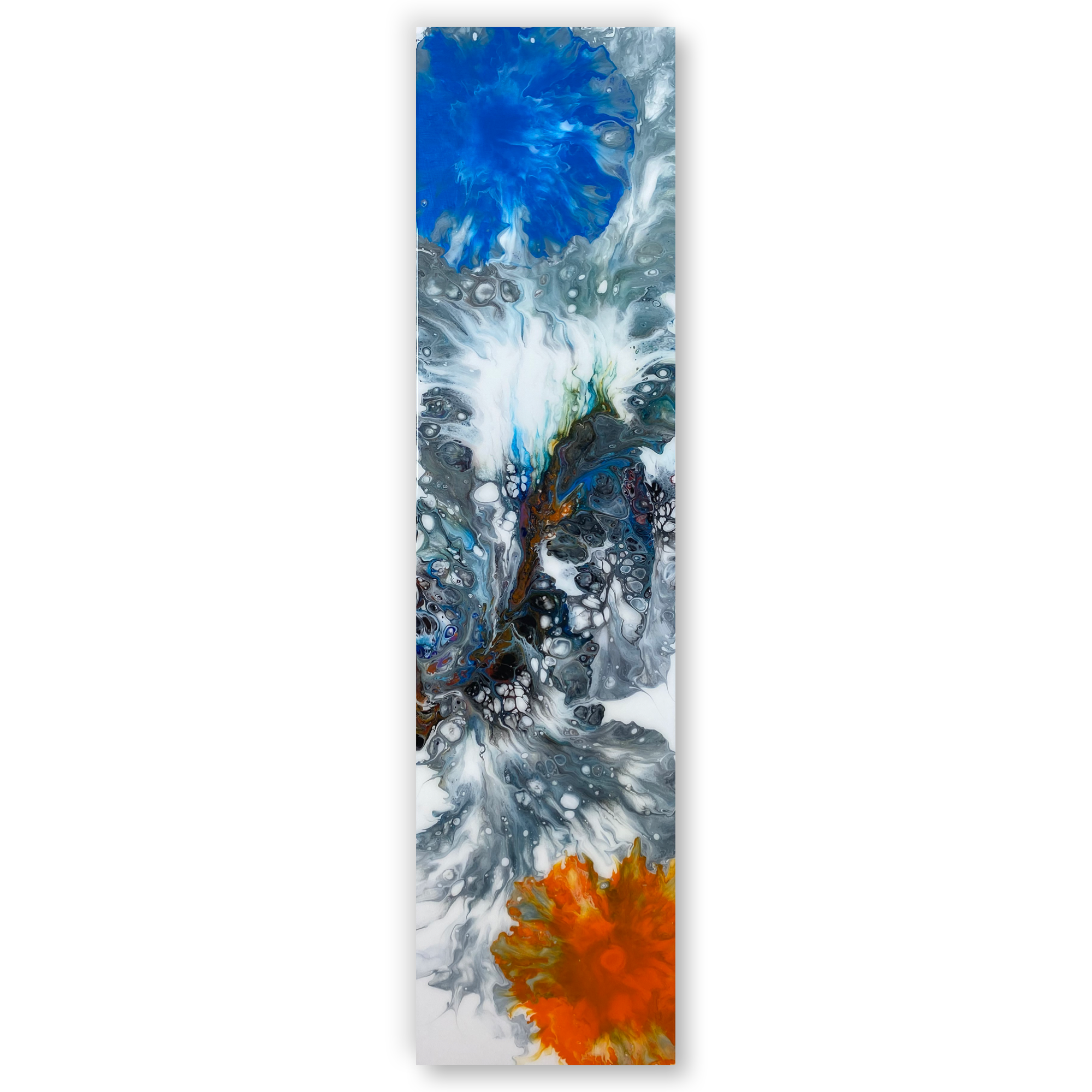 Polar (12x48)