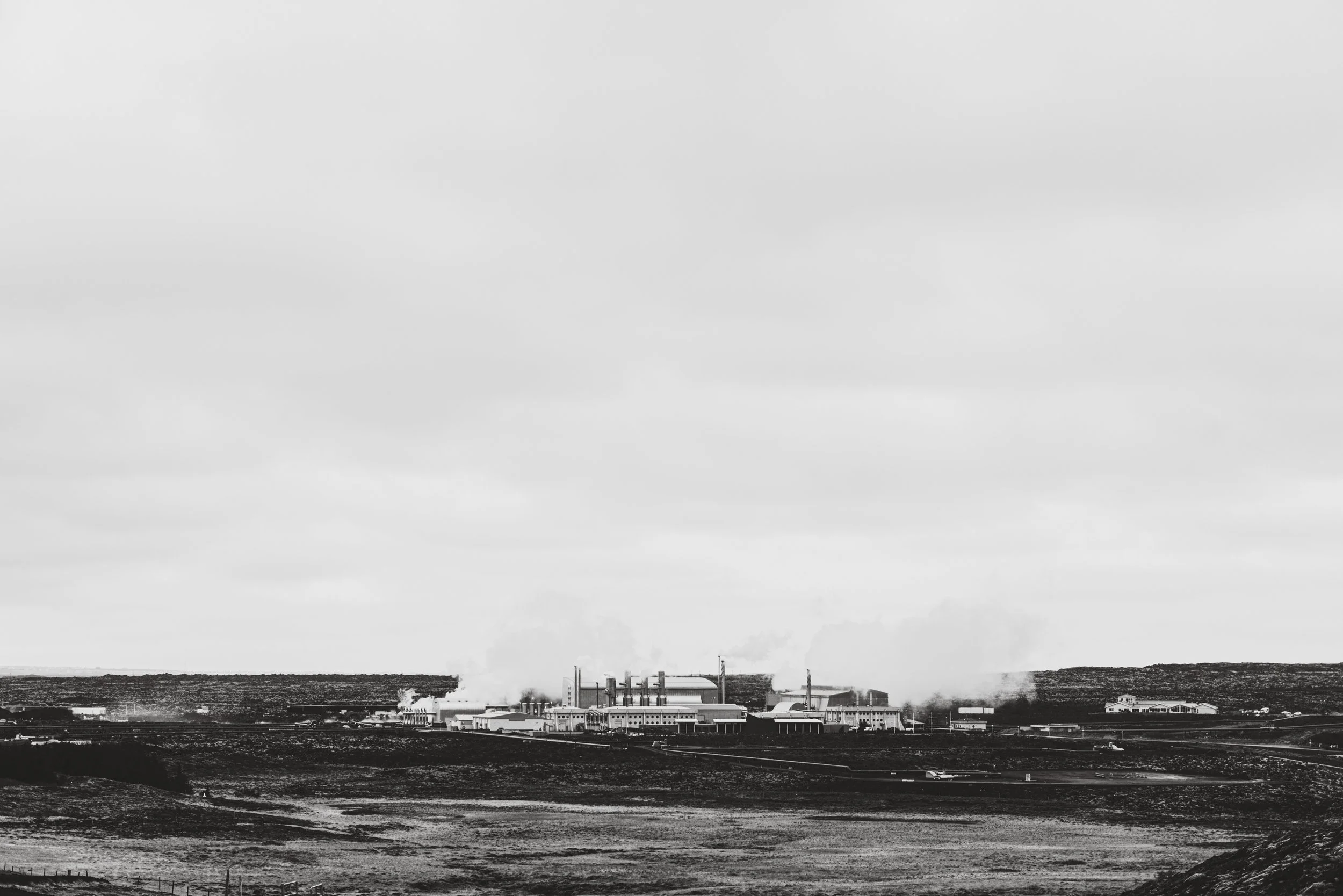ni (1).jpg