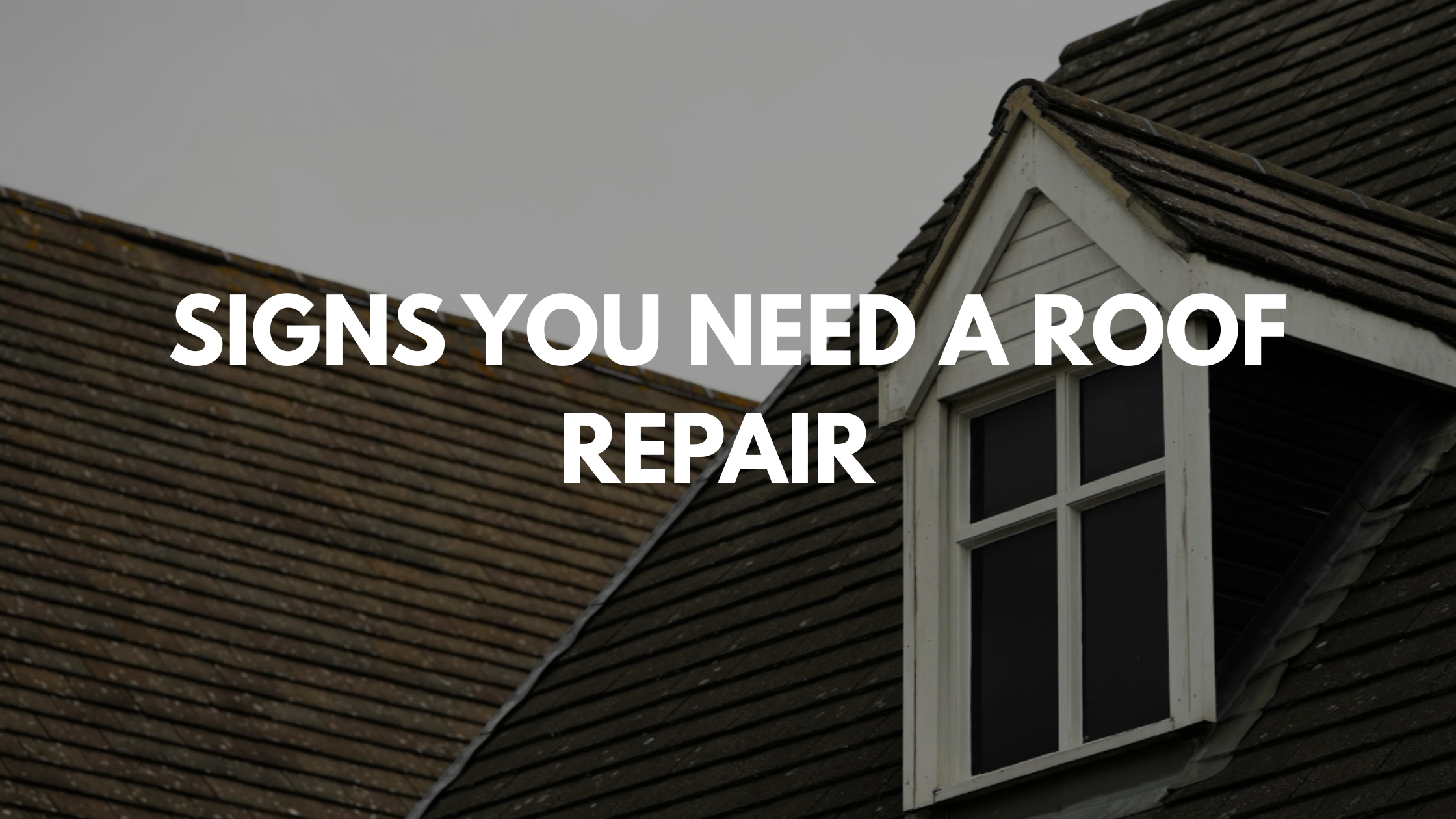 7 Signs You May Need Roof Repair