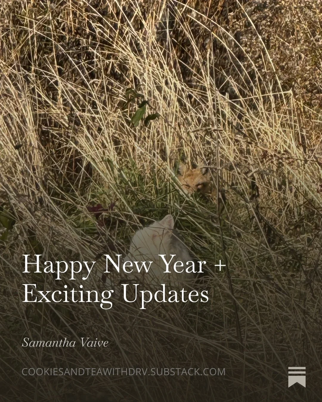 Check out this month's Sound Birthing letter on substack https://open.substack.com/pub/cookiesandteawithdrv/p/happy-new-year-exciting-updates?r=765jpo&amp;utm_campaign=post&amp;utm_medium=web&amp;showWelcomeOnShare=true

#soundbirthing
#mindbodybirth