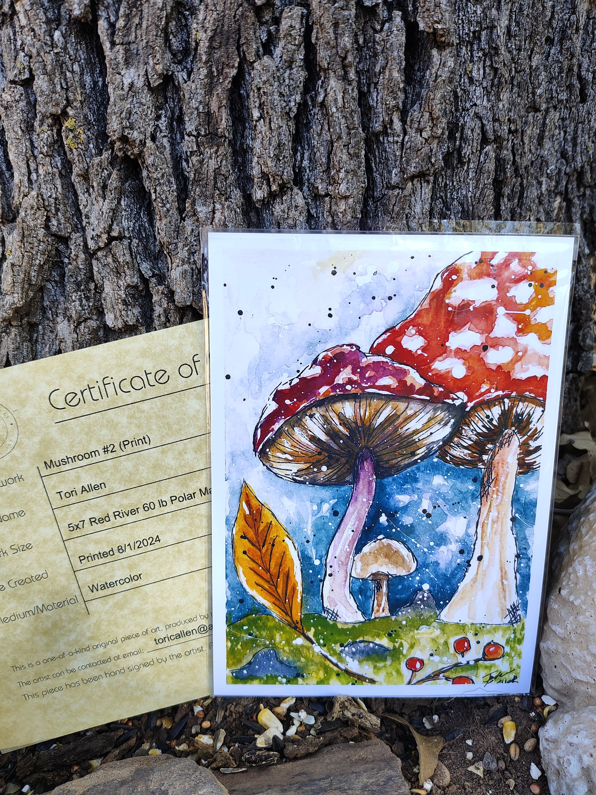 mushroom 2 print photo.jpg