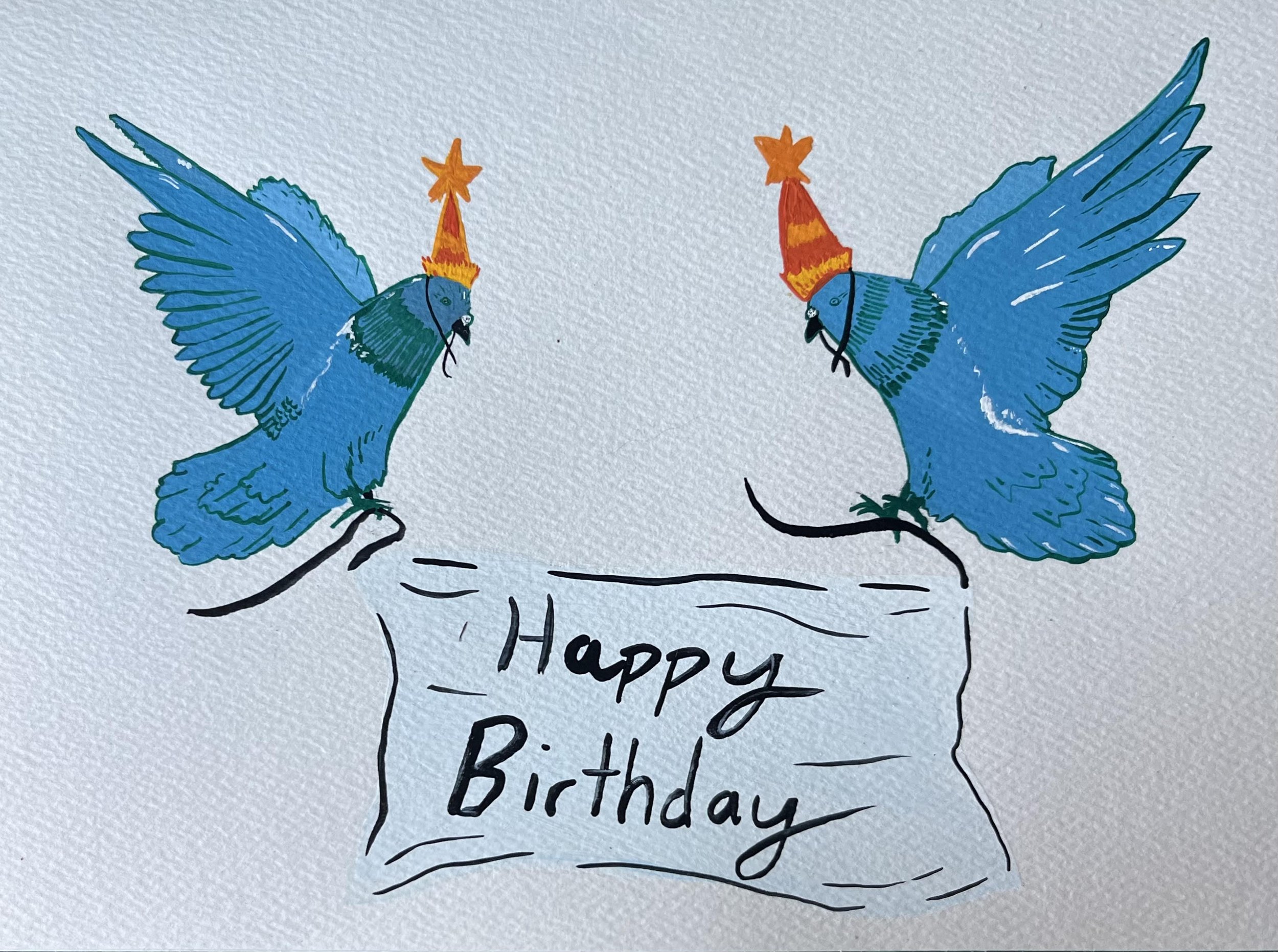 birthday pigeons.jpg
