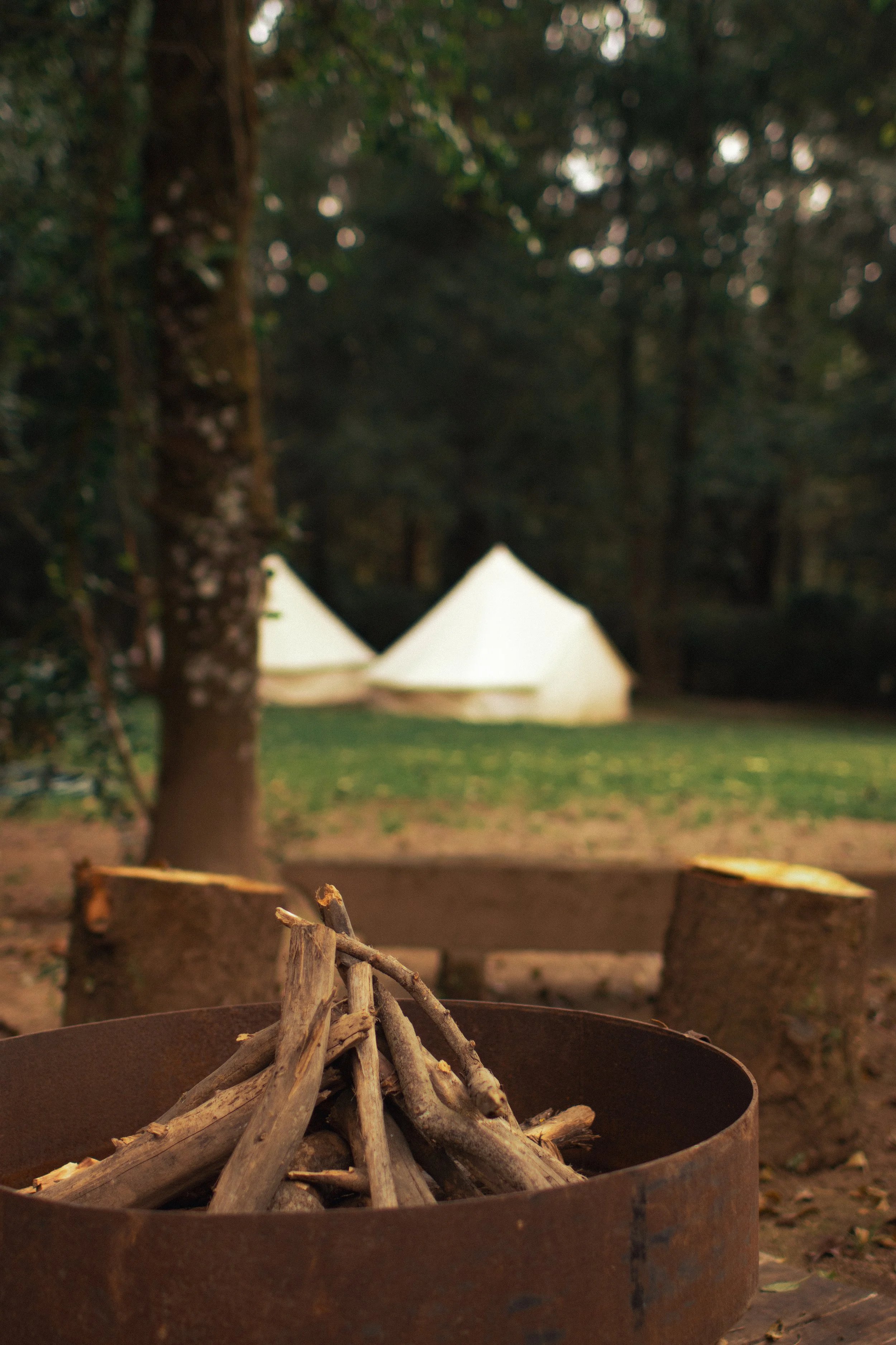 Copia de _MG_4556.jpg