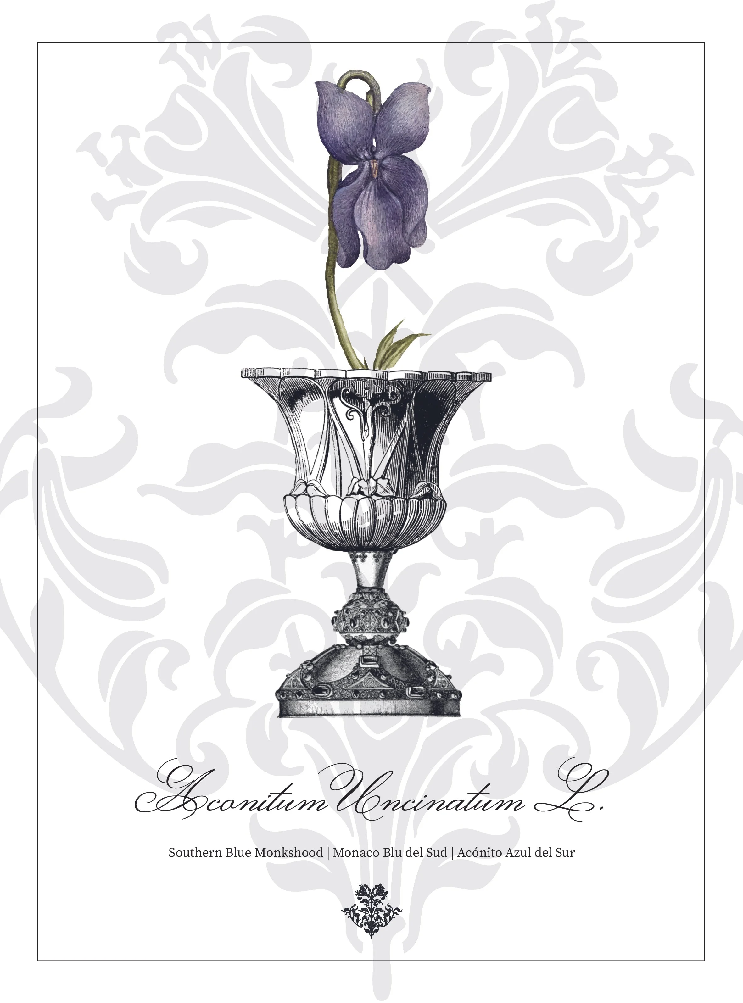 Aconitum Uncinatum L.