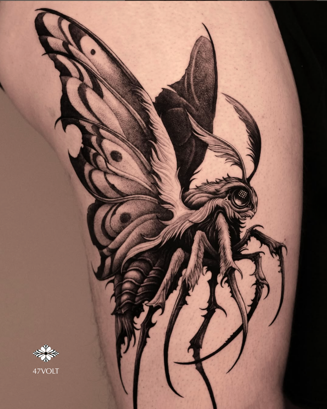 Black and gray tattoo of a detailed hawk-moth insect, featuring large wings with intricate patterns, and a hairy body with long, spiny legs. By 47Volt at Hanok Studio