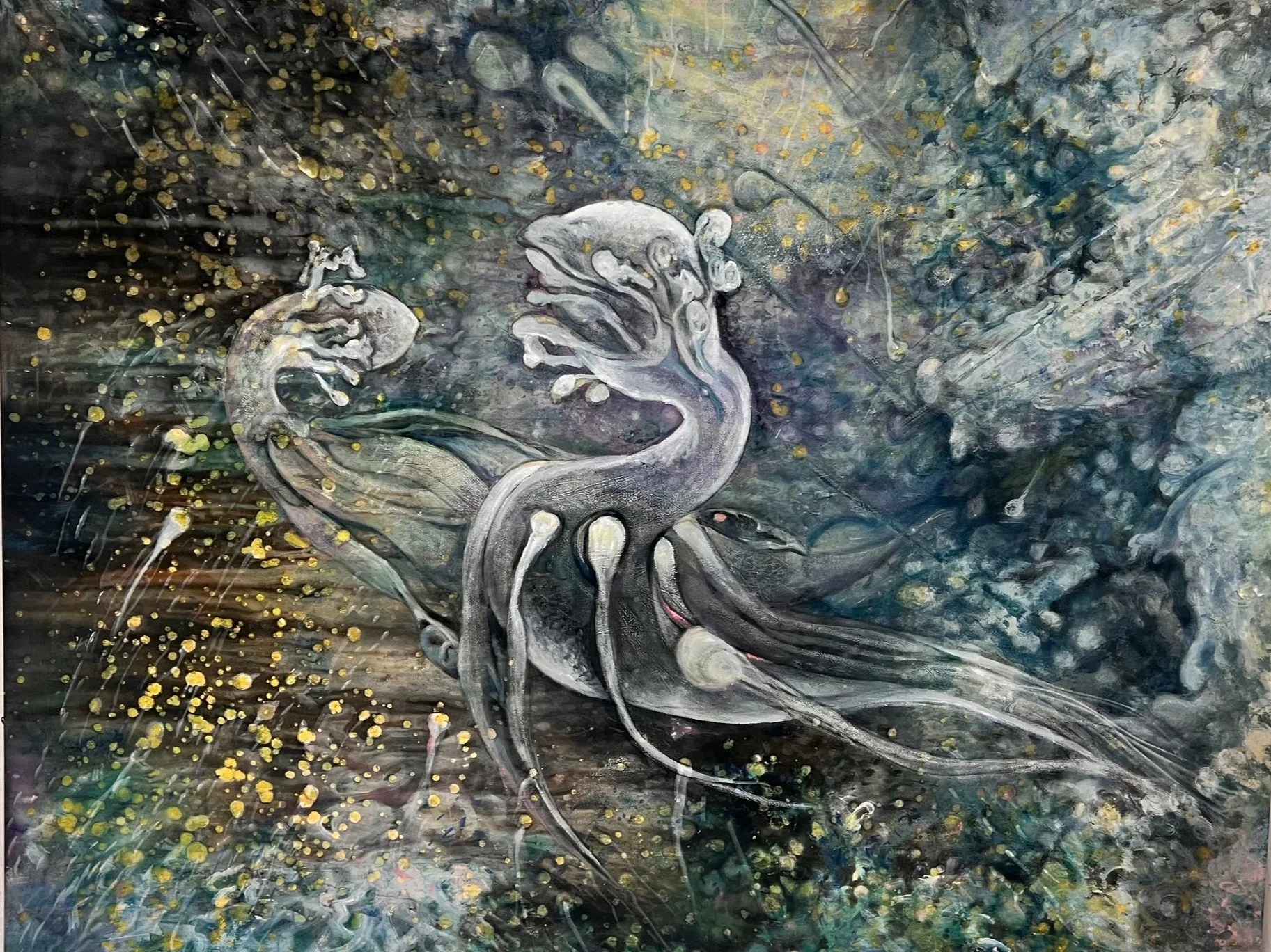 cosmic ovari (privatbesitz)