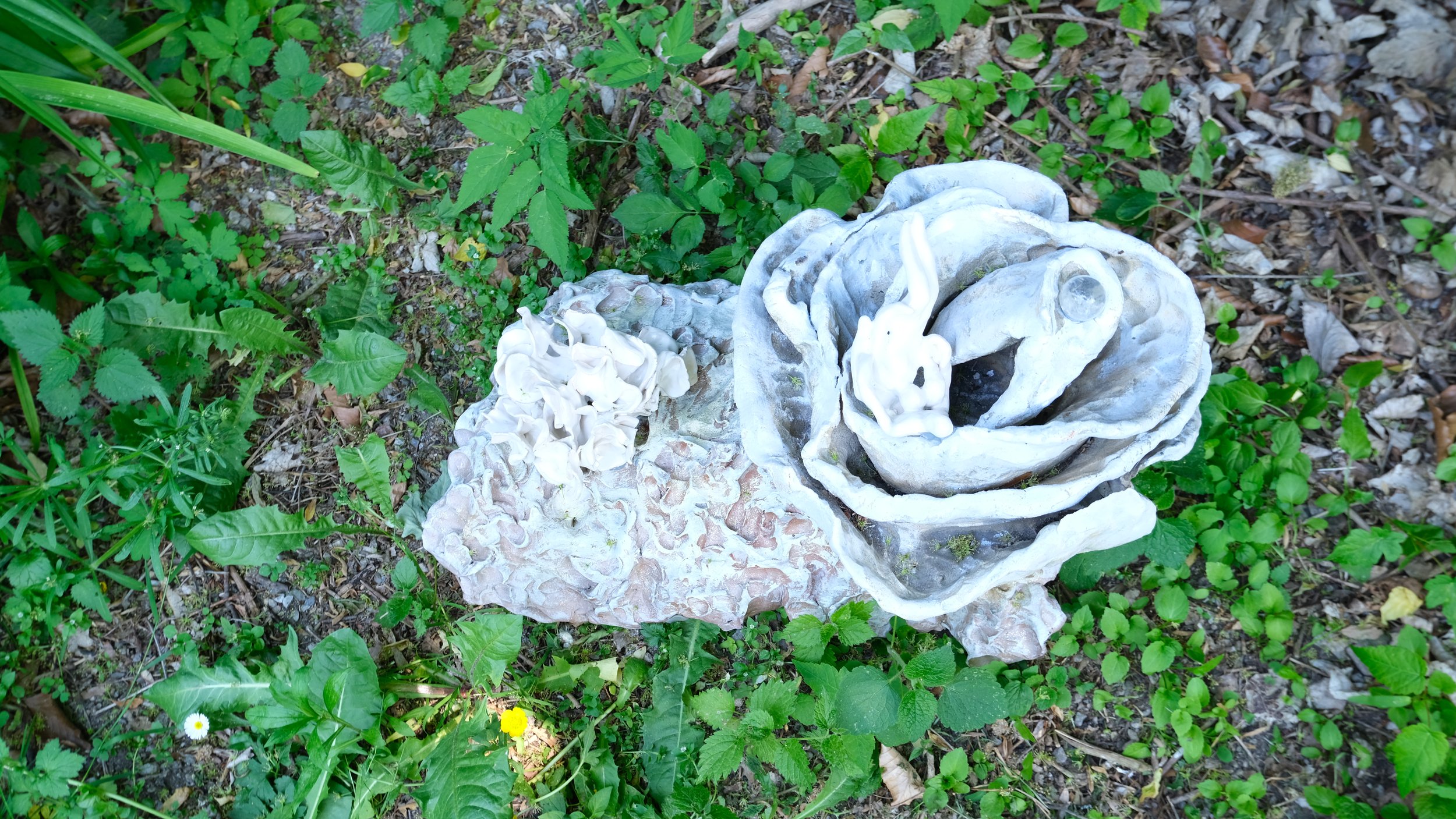 DSCF1881.JPG