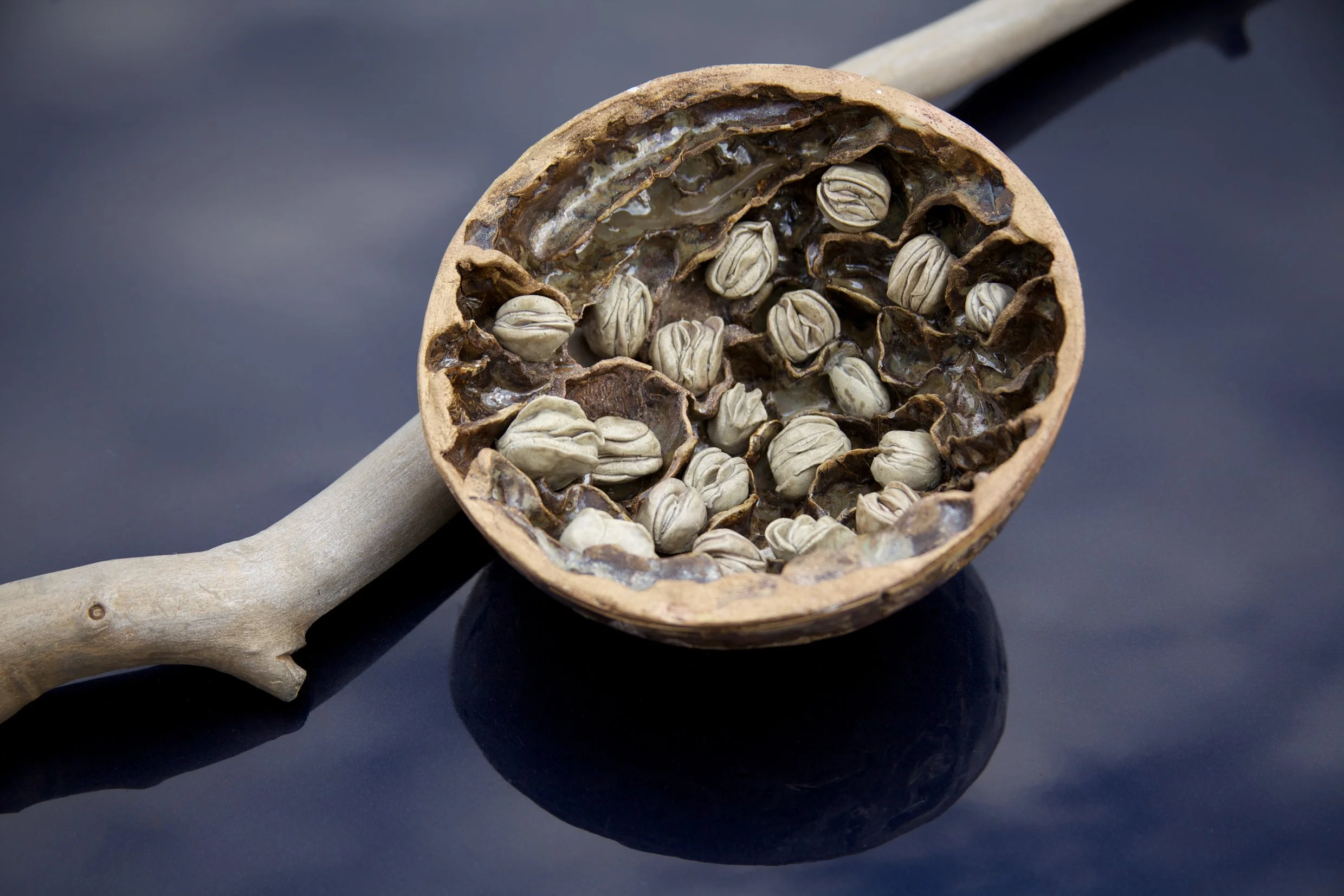 Muschelnest detail_MG_1925_sauber_300.jpg