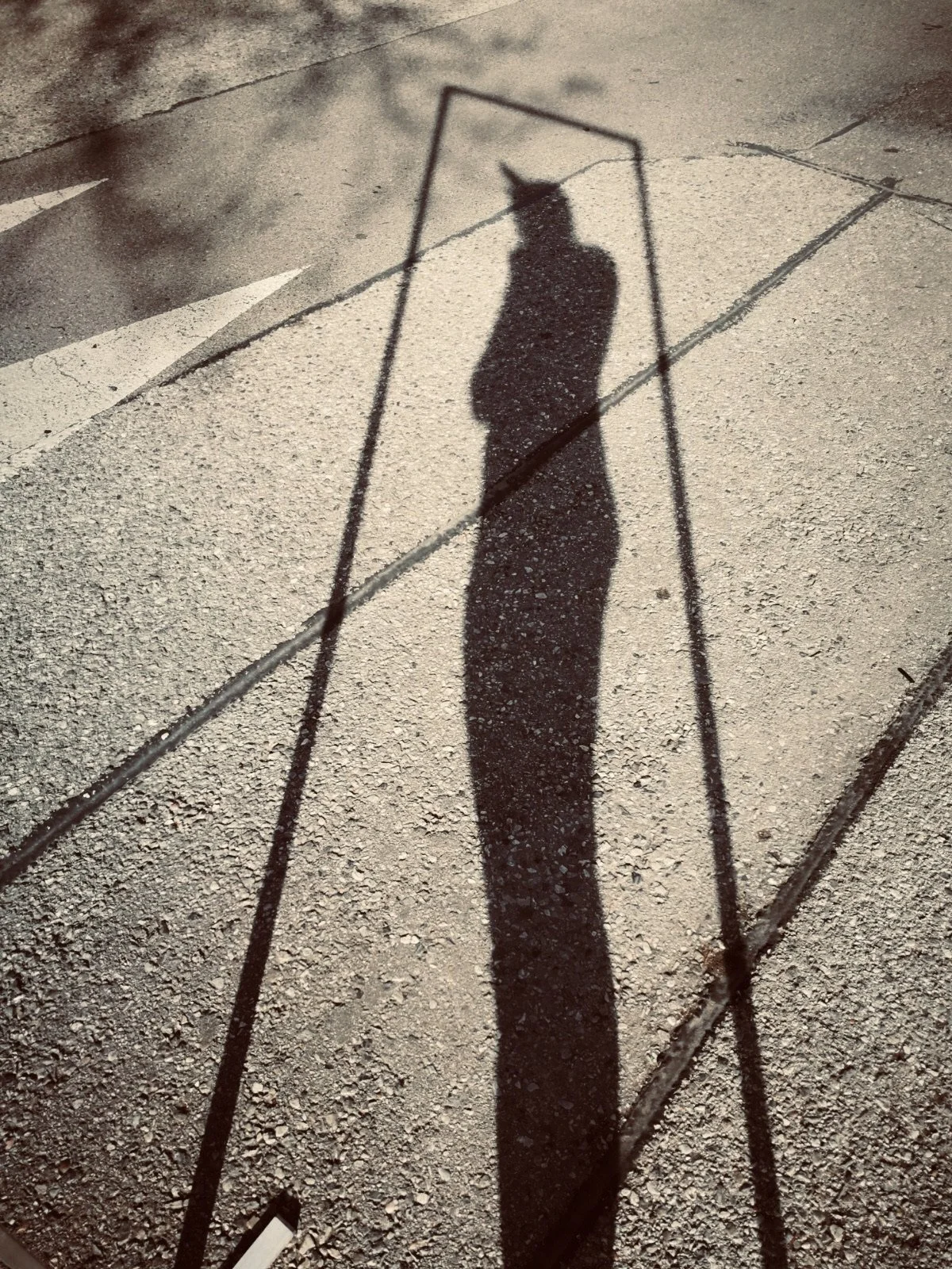 IMG_20200415_170130 2.jpeg