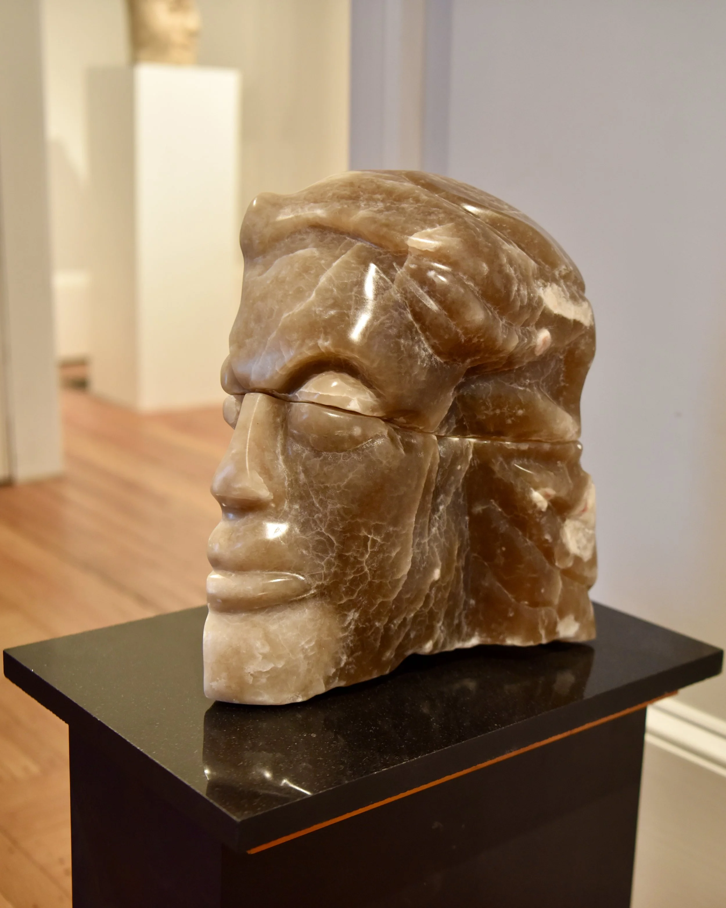 Split Personality by Steve Goldberg