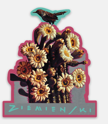 SaguaroSun.png