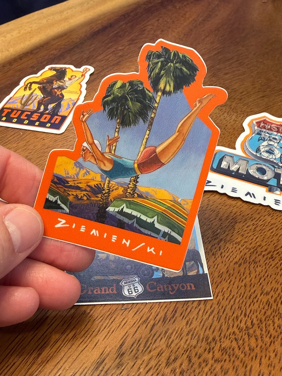 Desert Dive Sticker