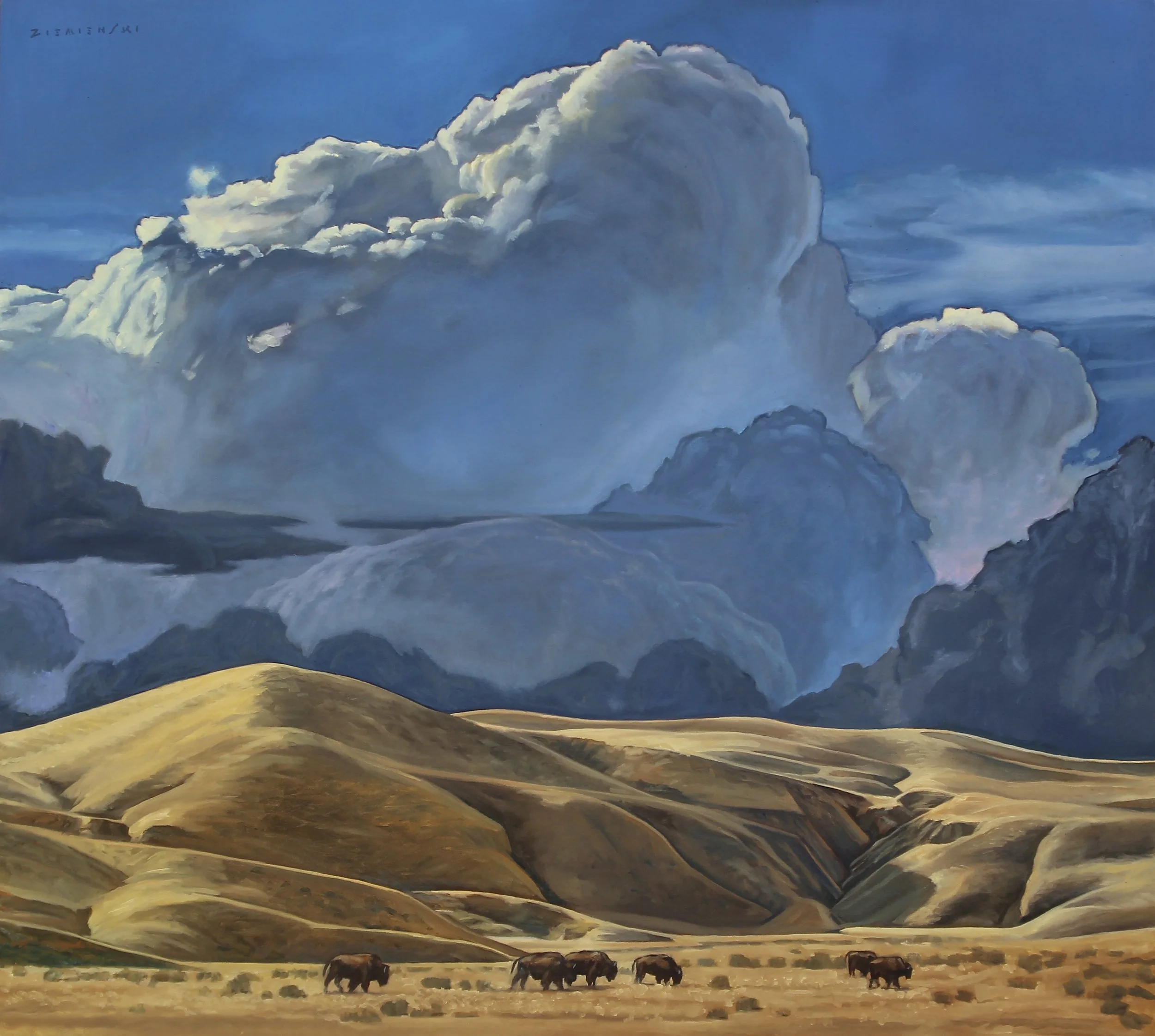 Where the Buffalo Roam.jpeg