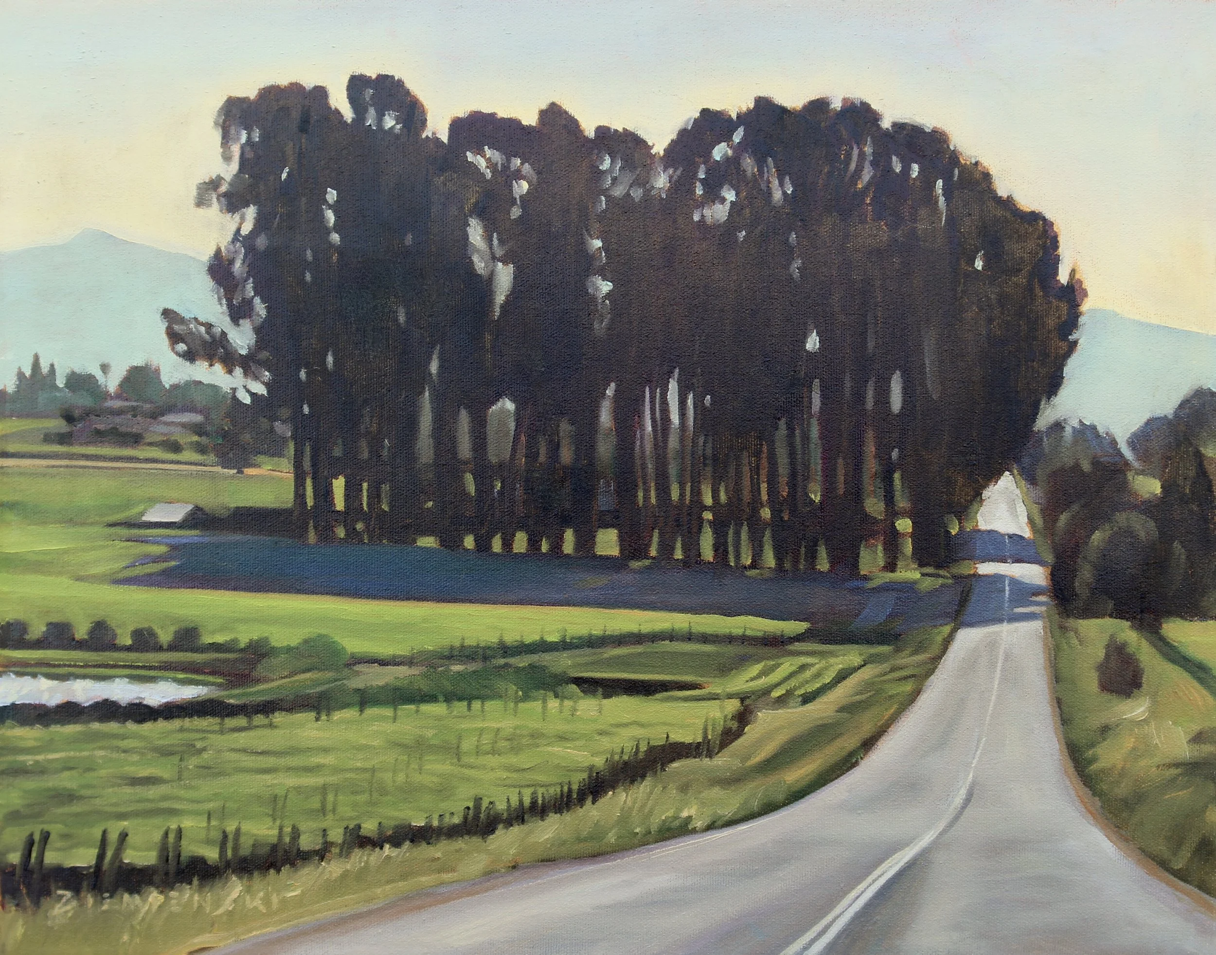 Carneros Eucalyptus, 14 x 18 inches, oil