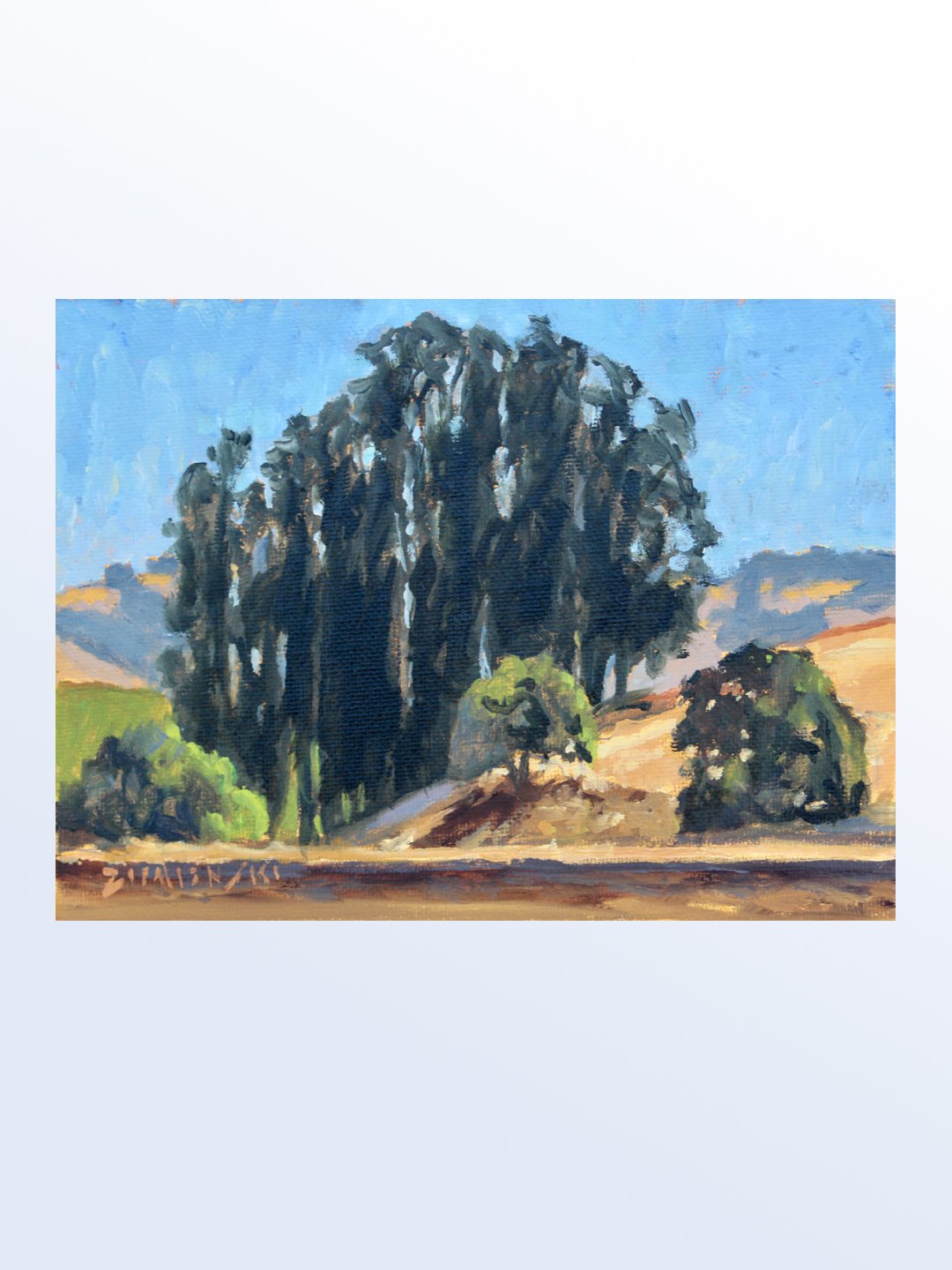 Store-01-Sonoma-Eucalyptus.jpg