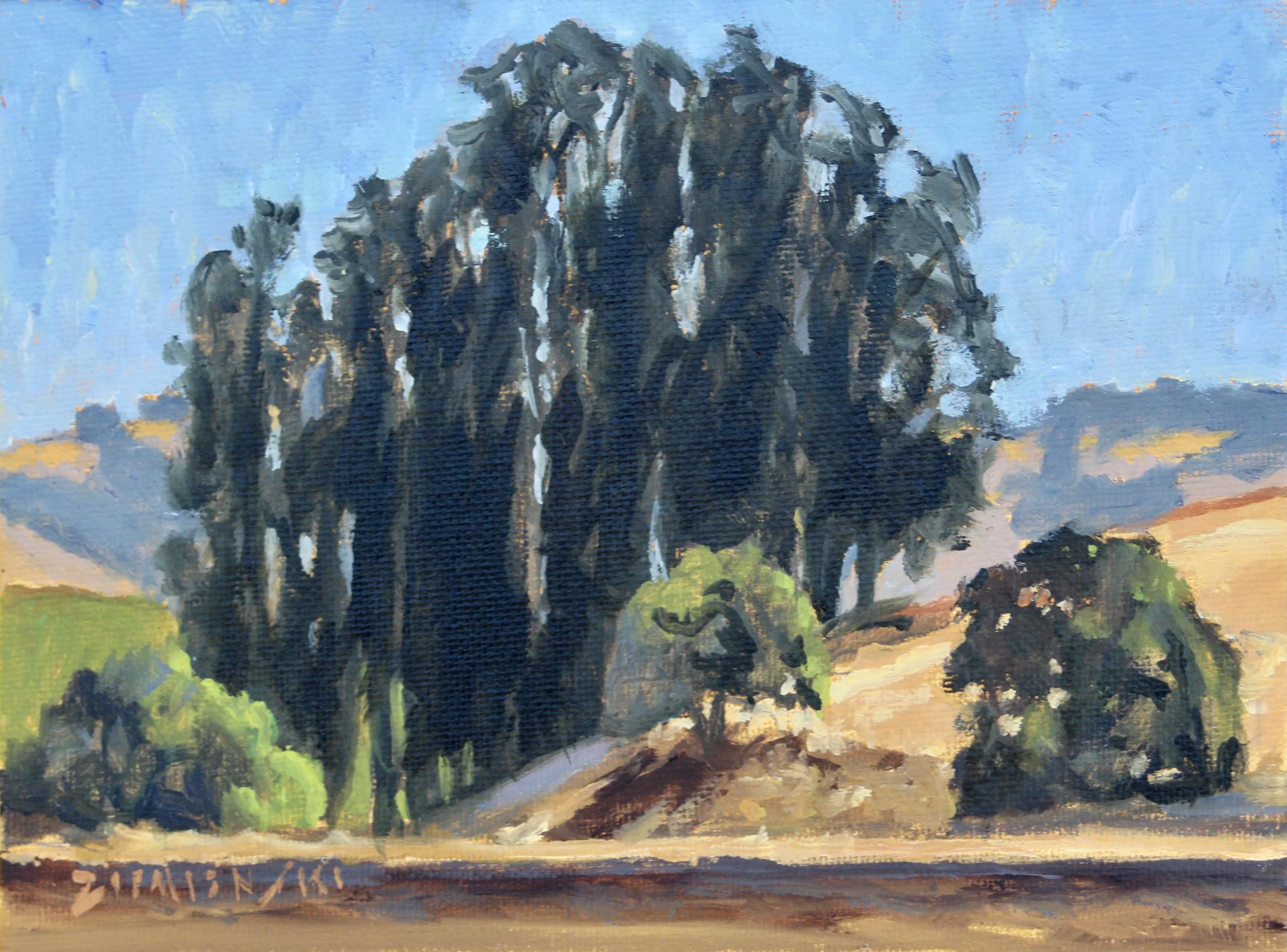 Sonoma Eucalyptus Grove, 6 x 8 inches, oil
