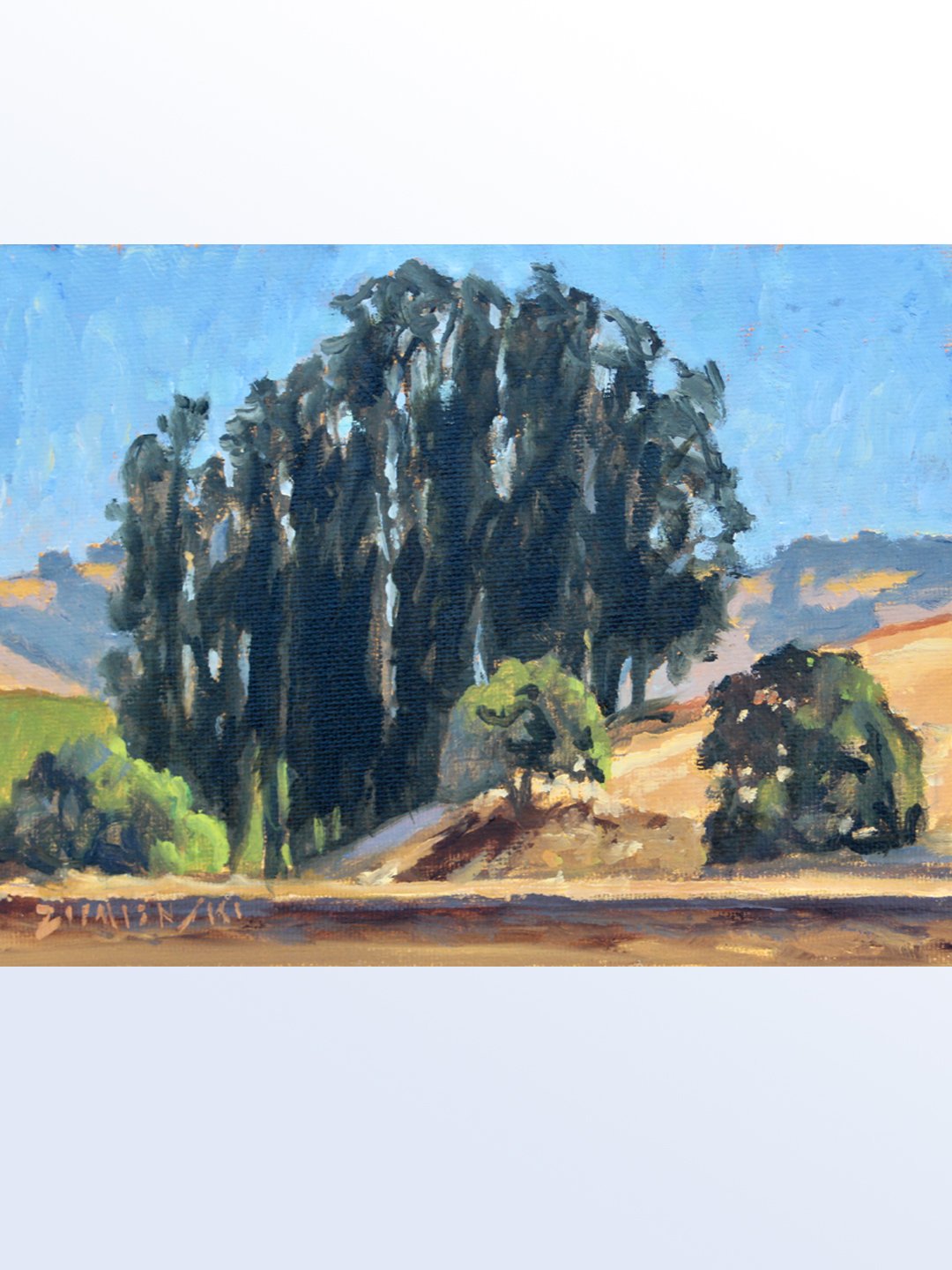 Store-02-Sonoma-Eucalyptus.jpg