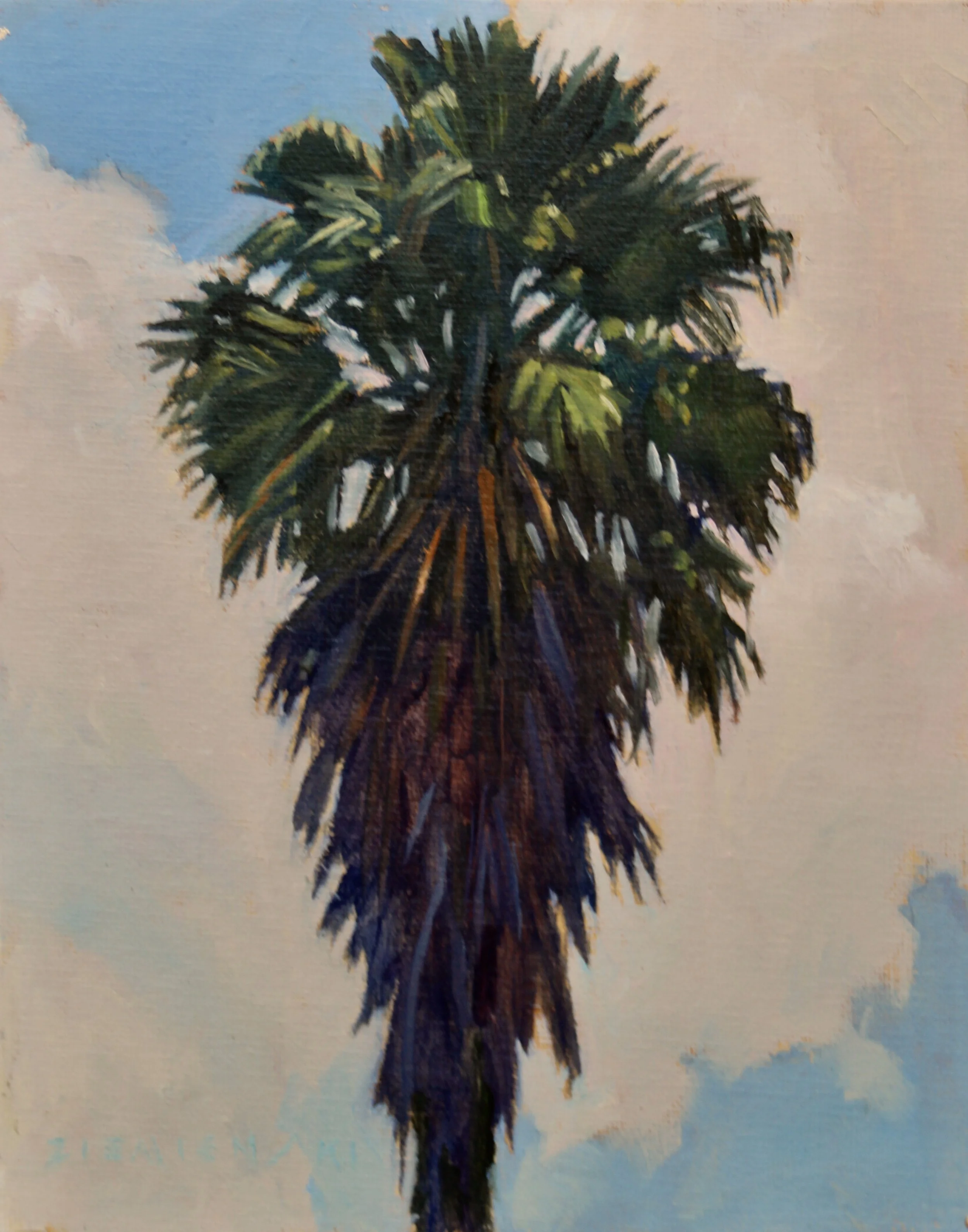 The Stately Fan Palm, 10 x 8 inches, oil
