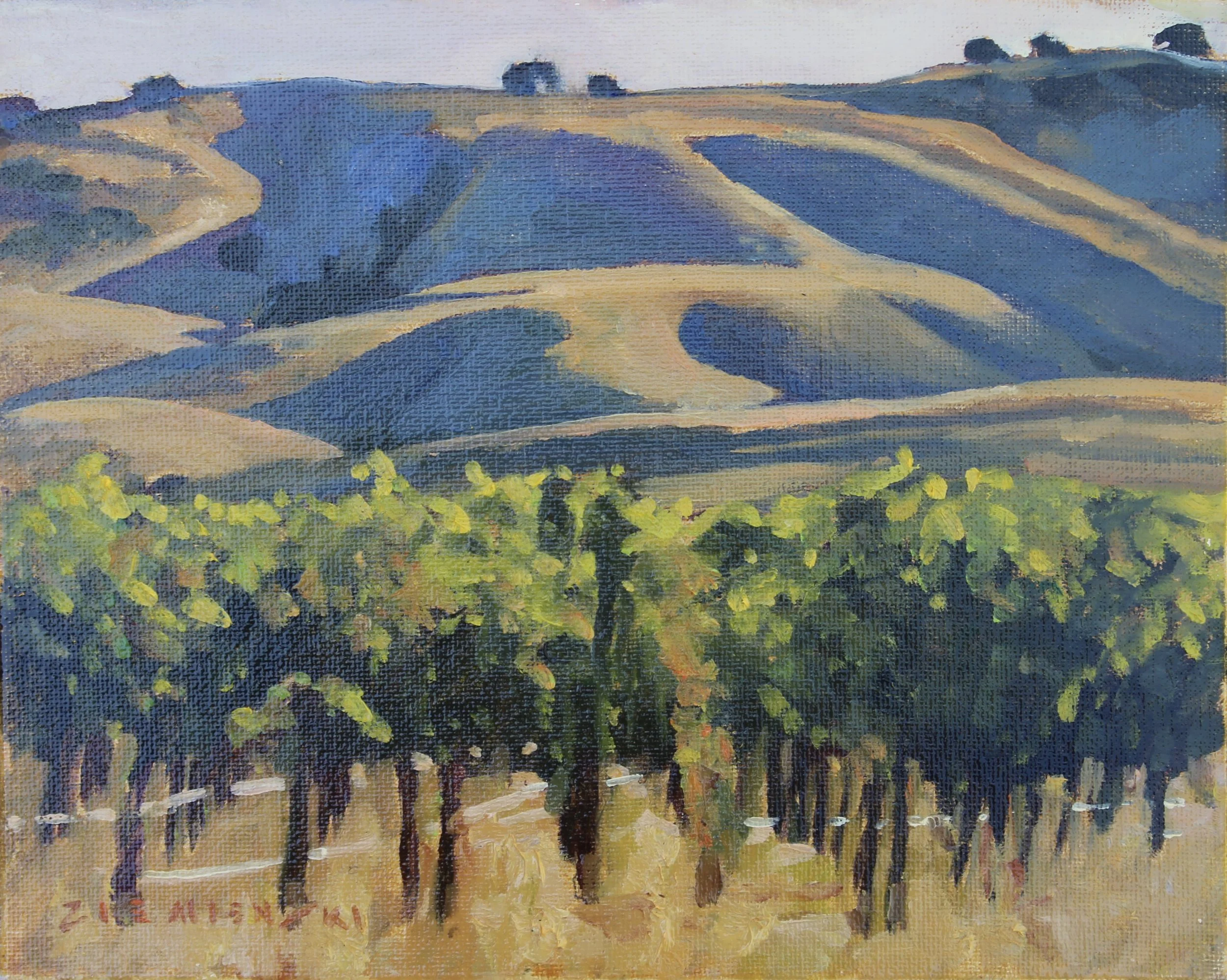 Sonoma Vineyard with Rolling Hillside, 8 x 10 inches, oil