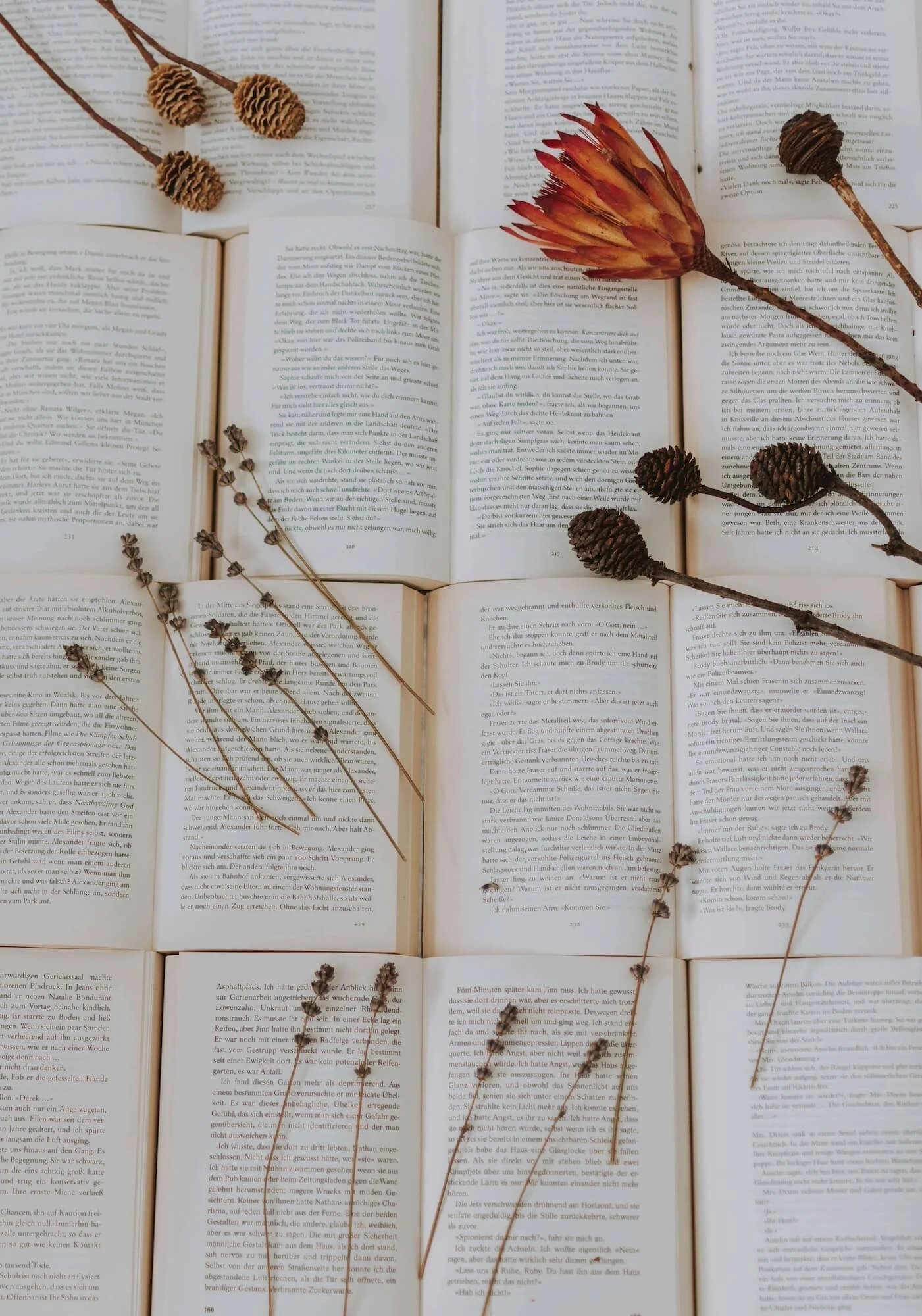 Dried flowers and pine cones laid out on open books in an artistic arrangement.