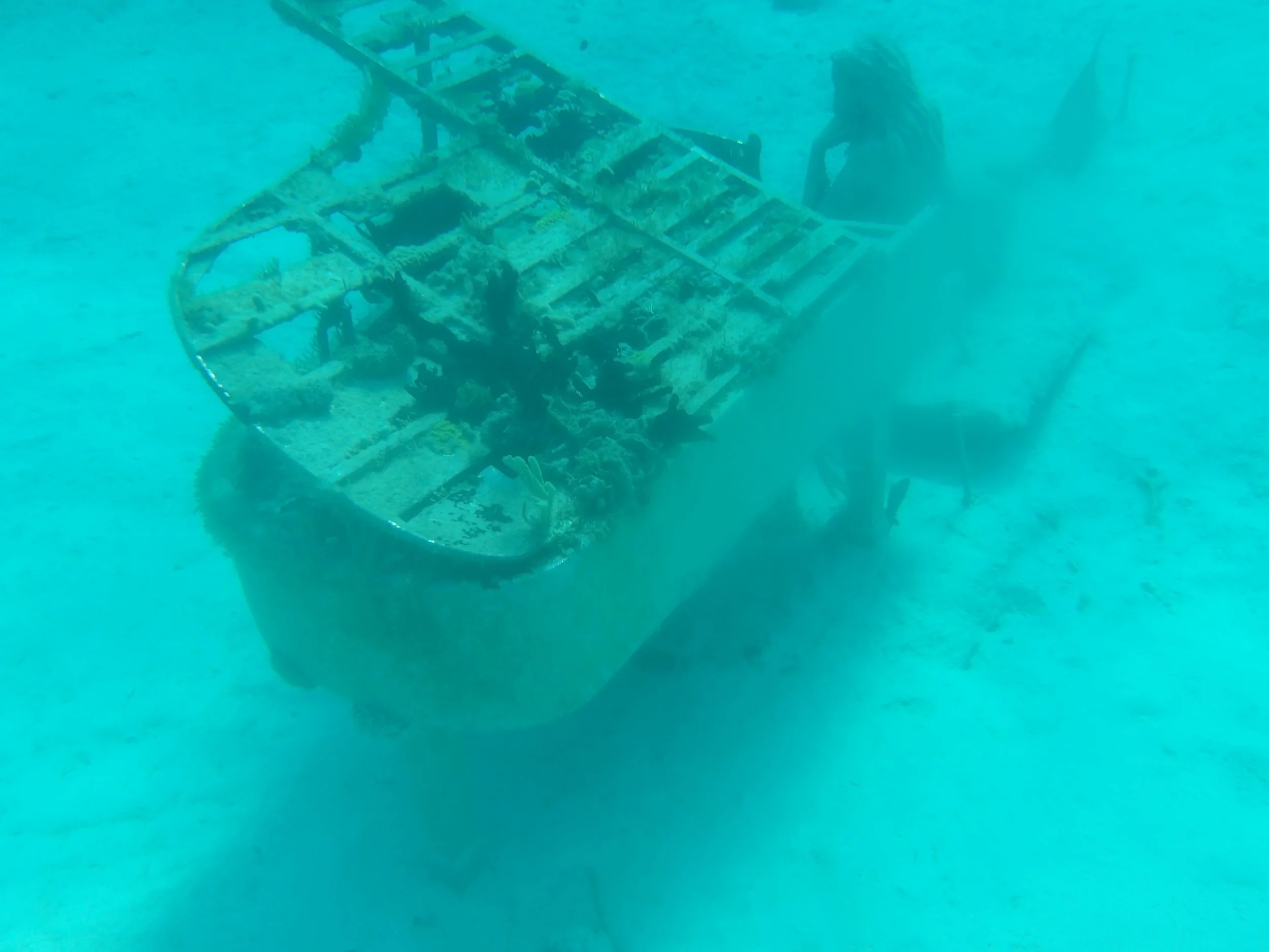 Underwater 14.JPG